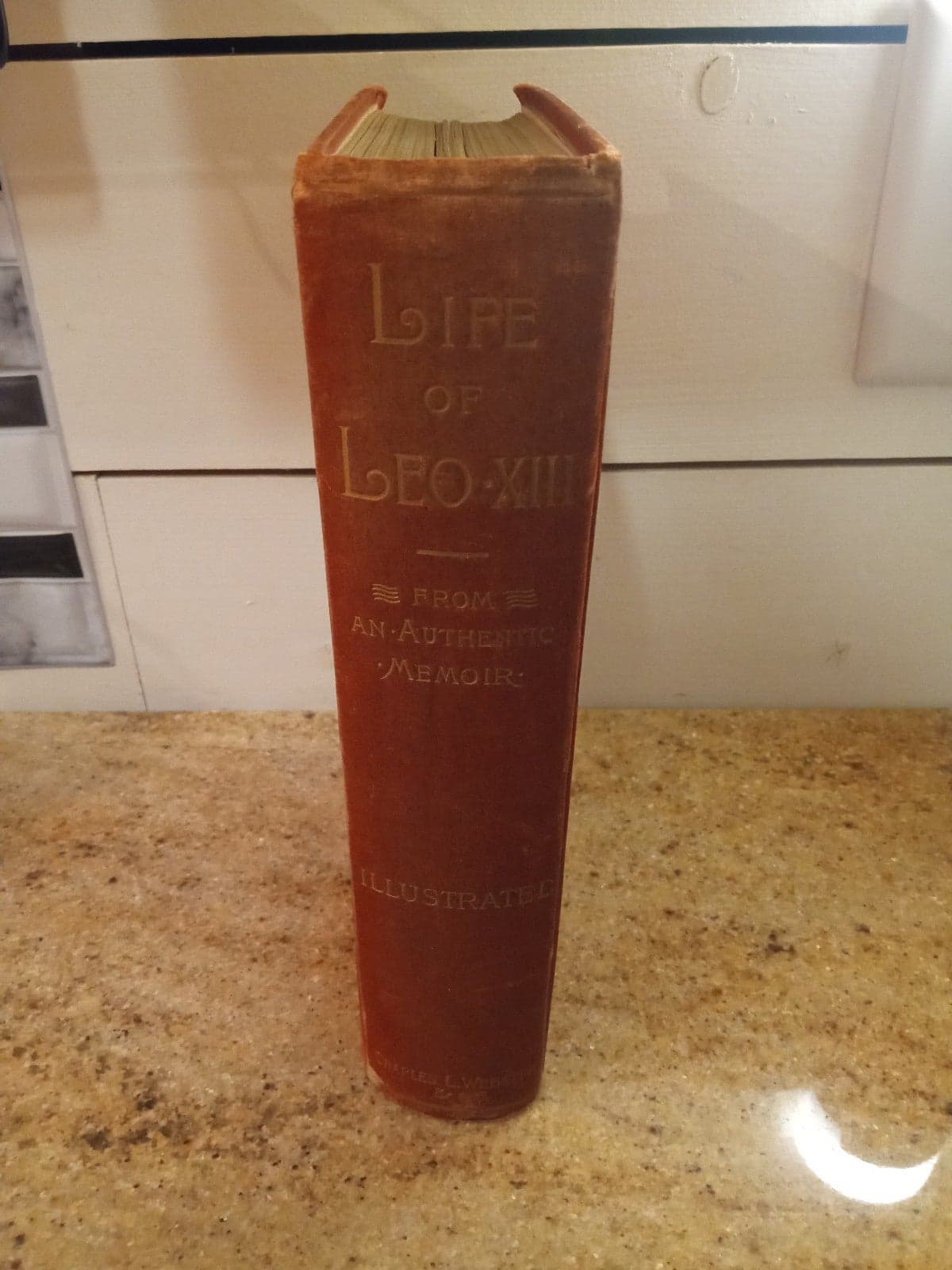 Life of Pope Leo XIII - Memoir - 1887 - First Edition - Thumbnail 2