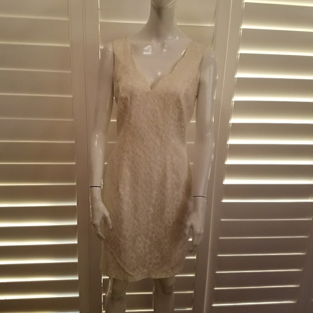 Simple and Elegant Lace Dress