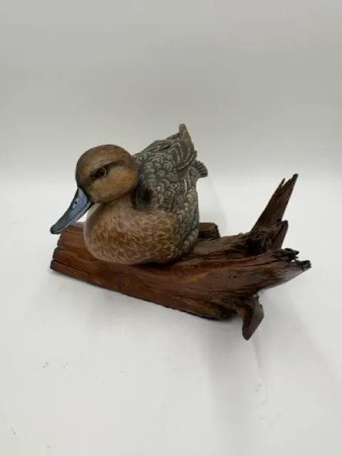 Hand Carved Hen Pintail Mounted on Driftwood By Burns '85