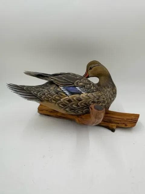 Hand Carved Hen Gadwall Mounted on Cedar Branch - Thumbnail 2
