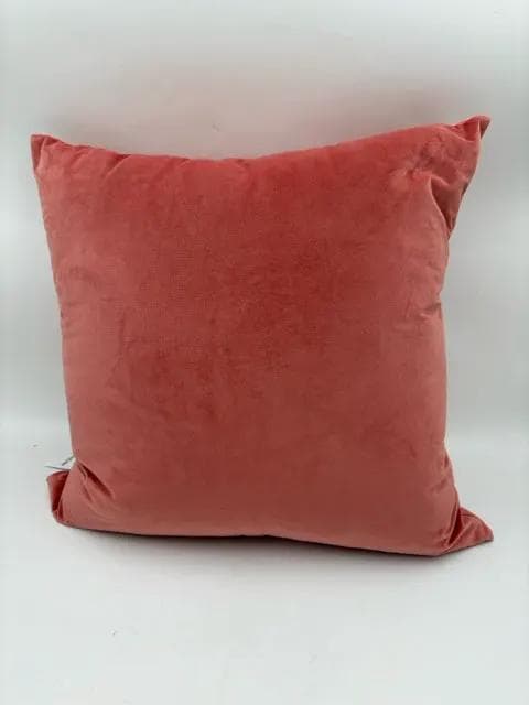 Visually Rich Coral Velvety Pillow