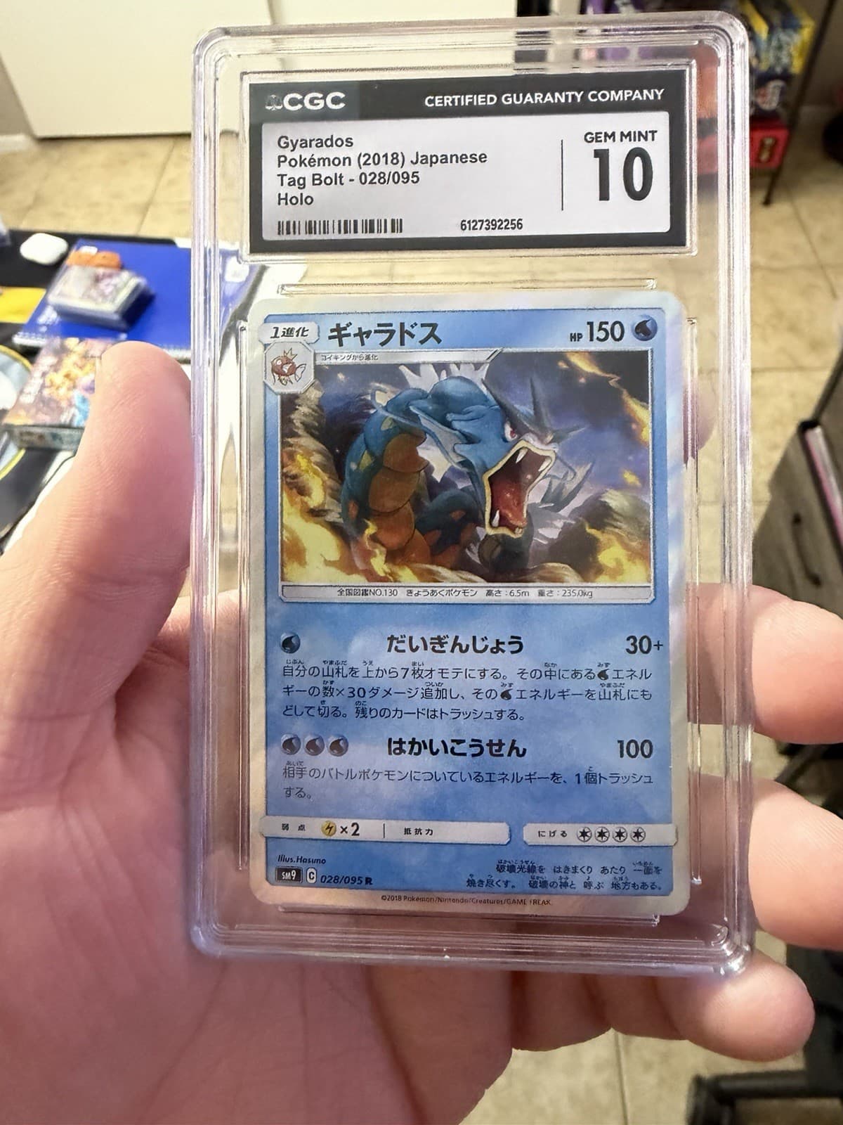 The Pokémon Company Gyarados 028/095 SM9 Tag Bolt Holo Rare JP 2018 CGC 10
