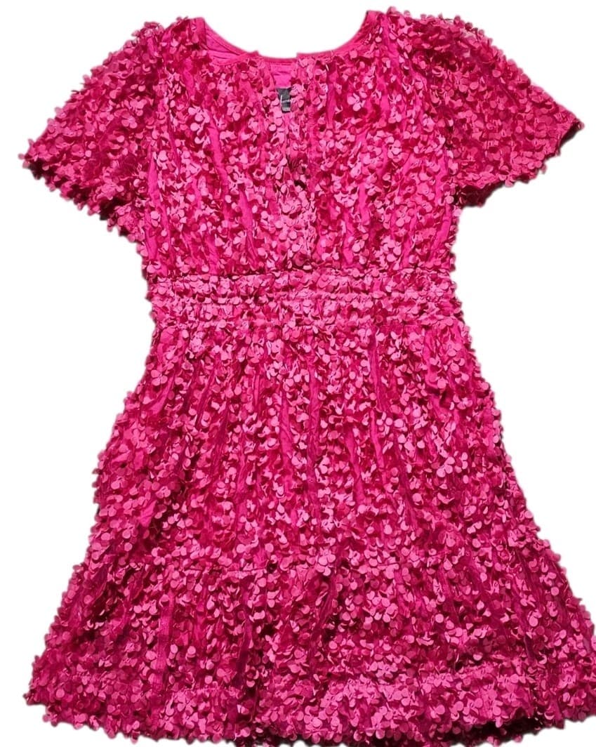Anthropologie Somerset Mini Dress Floral Applique Pink Vneck Smocked Woman Large - Thumbnail 6