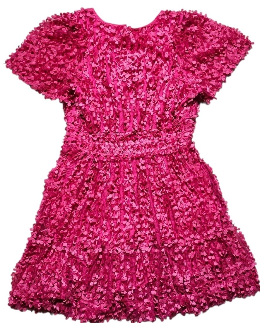 Anthropologie Somerset Mini Dress Floral Applique Pink Vneck Smocked Woman Large - Thumbnail 2