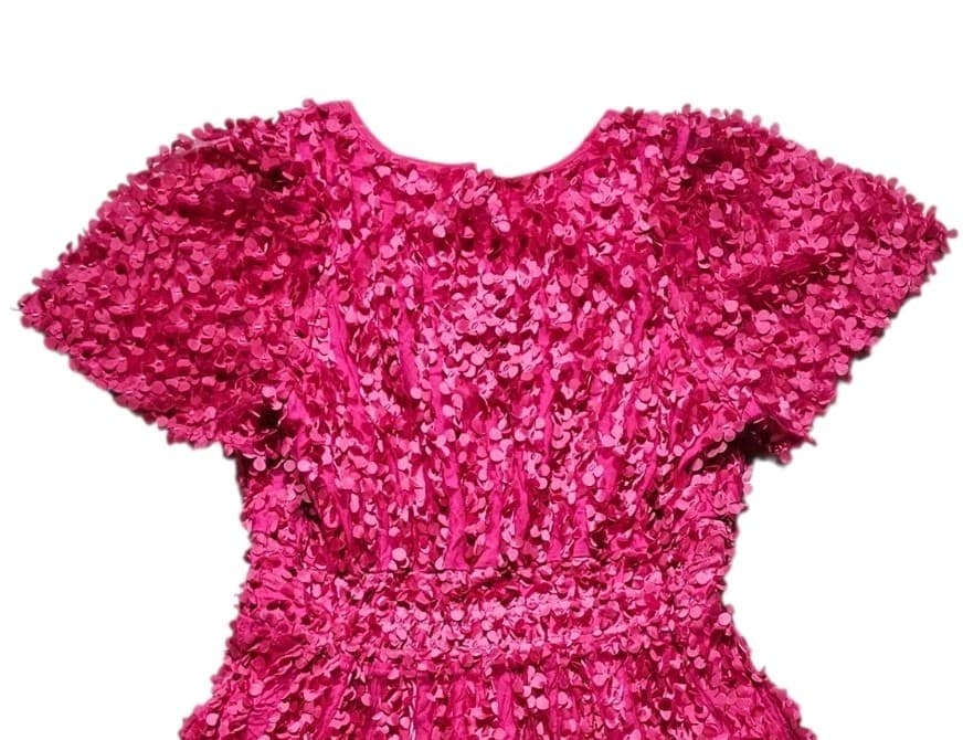Anthropologie Somerset Mini Dress Floral Applique Pink Vneck Smocked Woman Large - Thumbnail 3