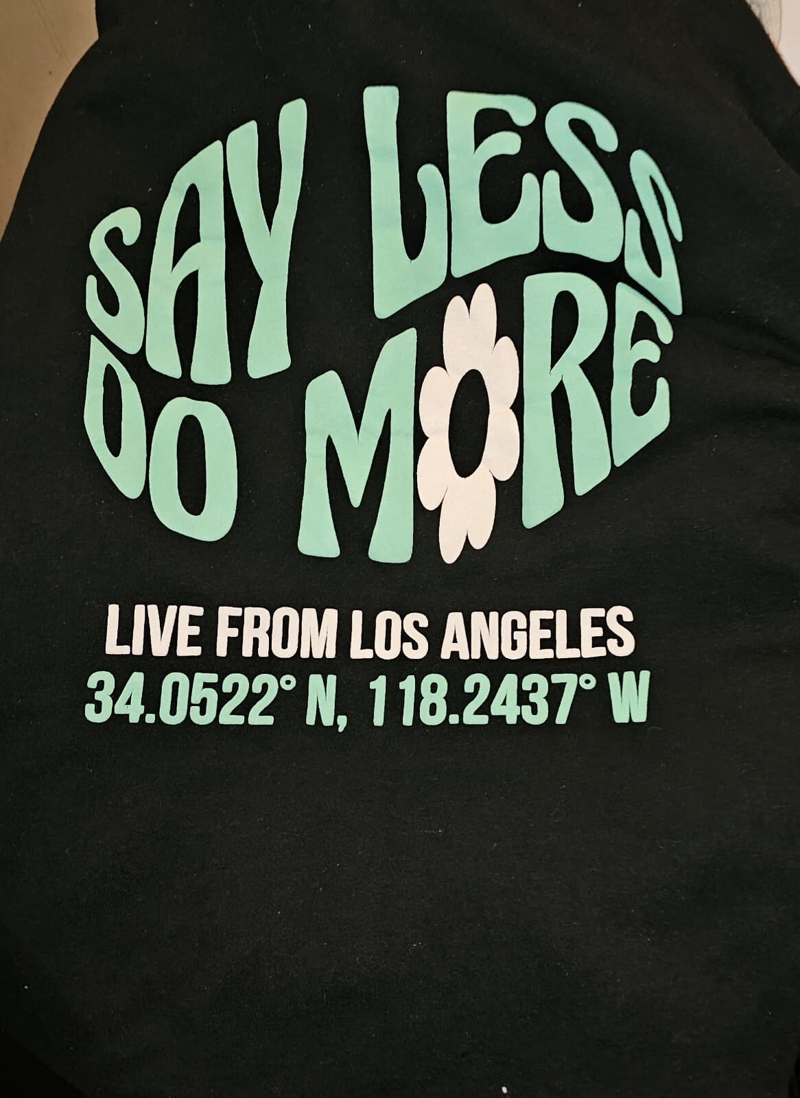 Young And Reckless Los Angeles Hooded Sweatshirt (Say Less Do More)