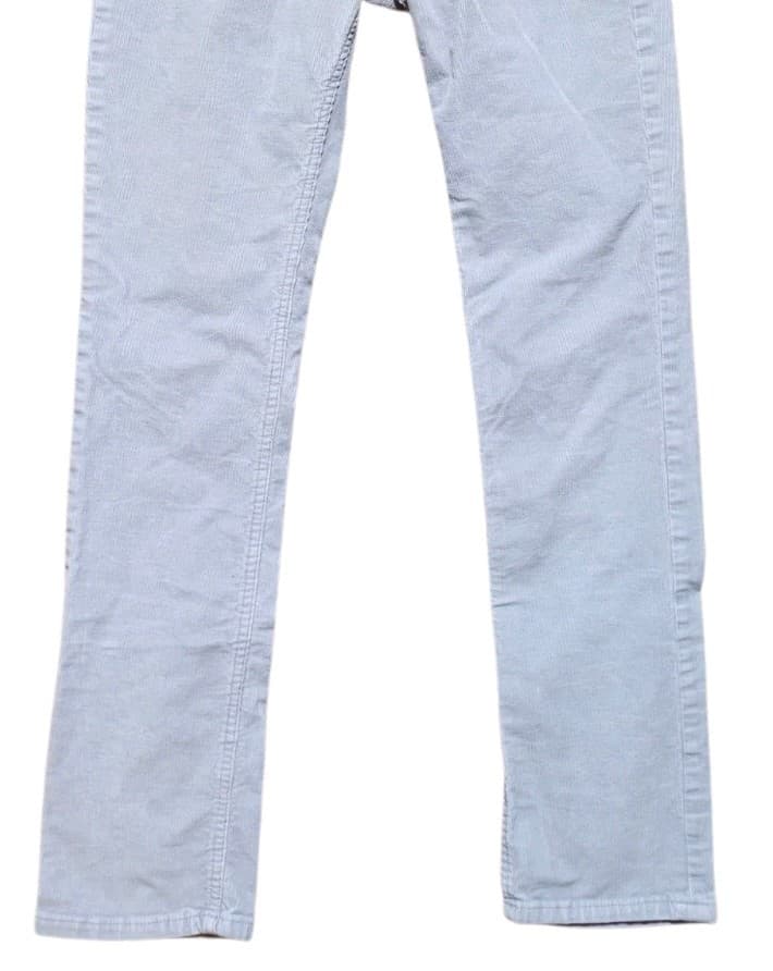 Patagonia Organic Cotton Corduroy Pants in Drifter Grey, Size 28 - Thumbnail 4
