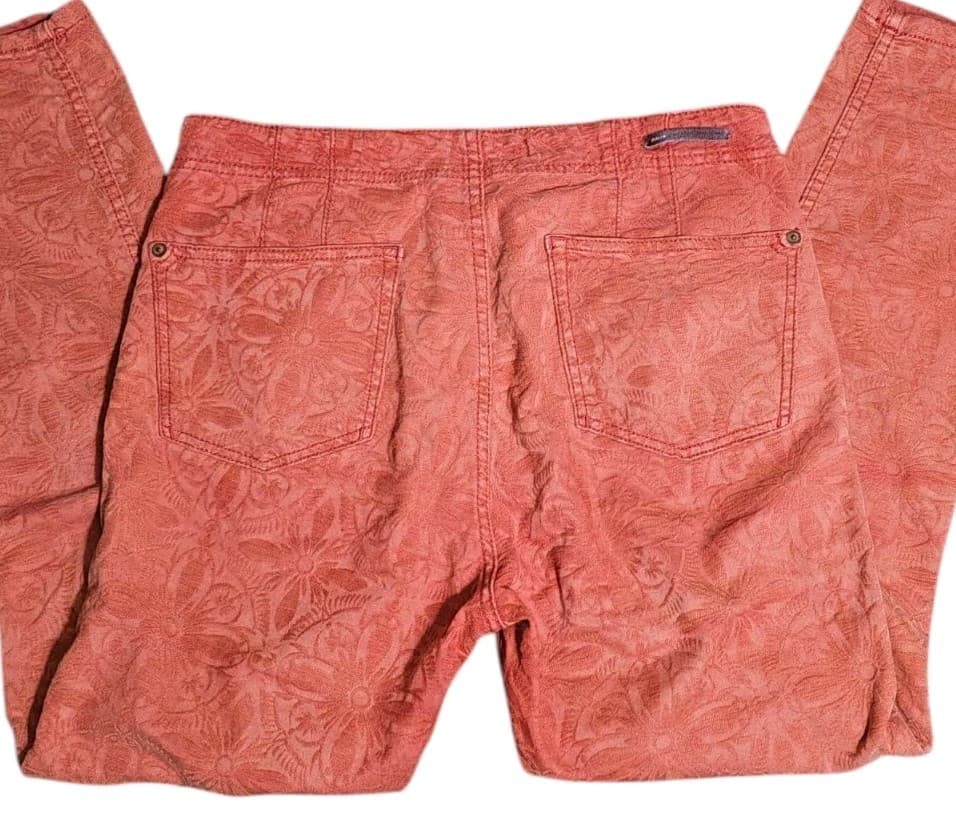 Anthropology Pilcro The Letter Press High-Rise Skinny, Red Floral Pants size 26 - Thumbnail 2