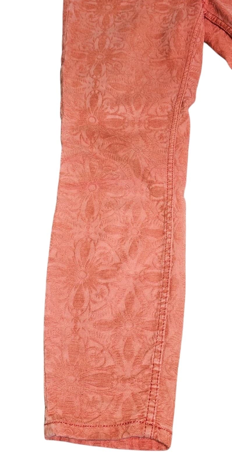Anthropology Pilcro The Letter Press High-Rise Skinny, Red Floral Pants size 26 - Thumbnail 7