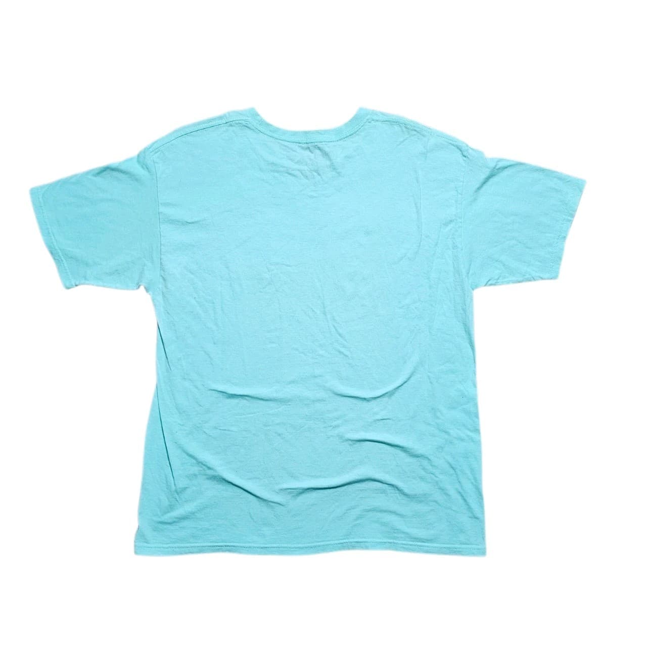 Vans Classic Fit Short Sleeve T-Shirt Size L Mint Green 100% Cotton Streetwear - Thumbnail 4