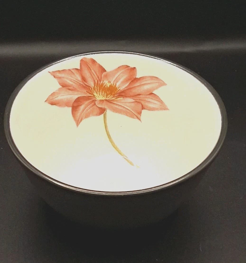 Noritake Colorwave Graphite Fruit Dessert Bowl One Bowl Clematis