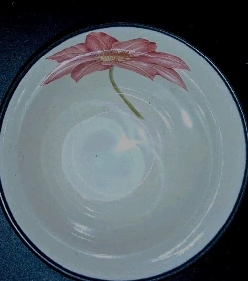 Noritake Colorwave Graphite Fruit Dessert Bowl One Bowl Clematis - Thumbnail 7