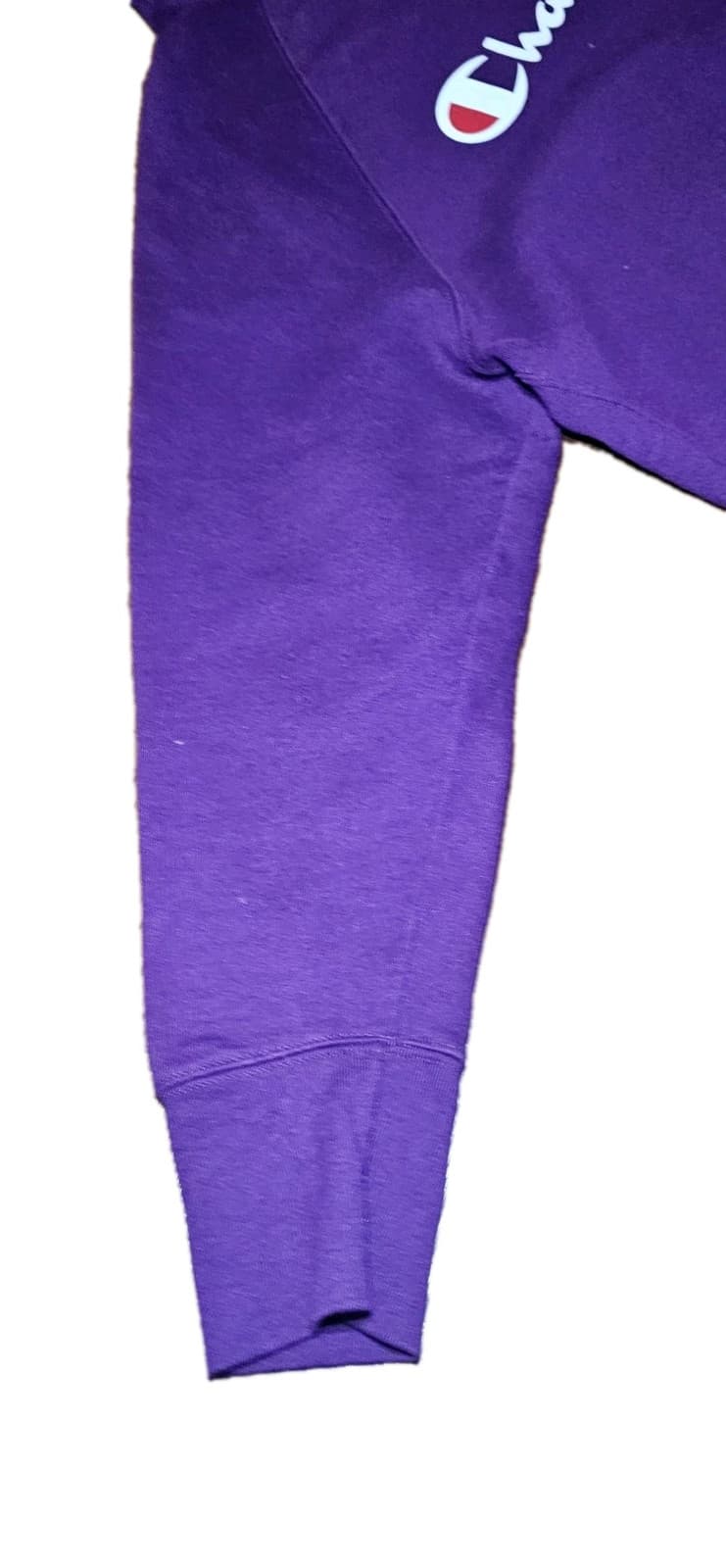 Champion Hoodie Women's Plus 2X Purple Pullover Sweatshirt - Thumbnail 8