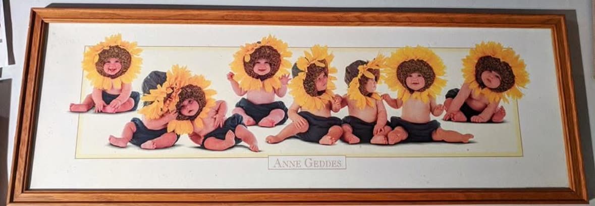 Anne Geddes Framed Sunflower Babies Print