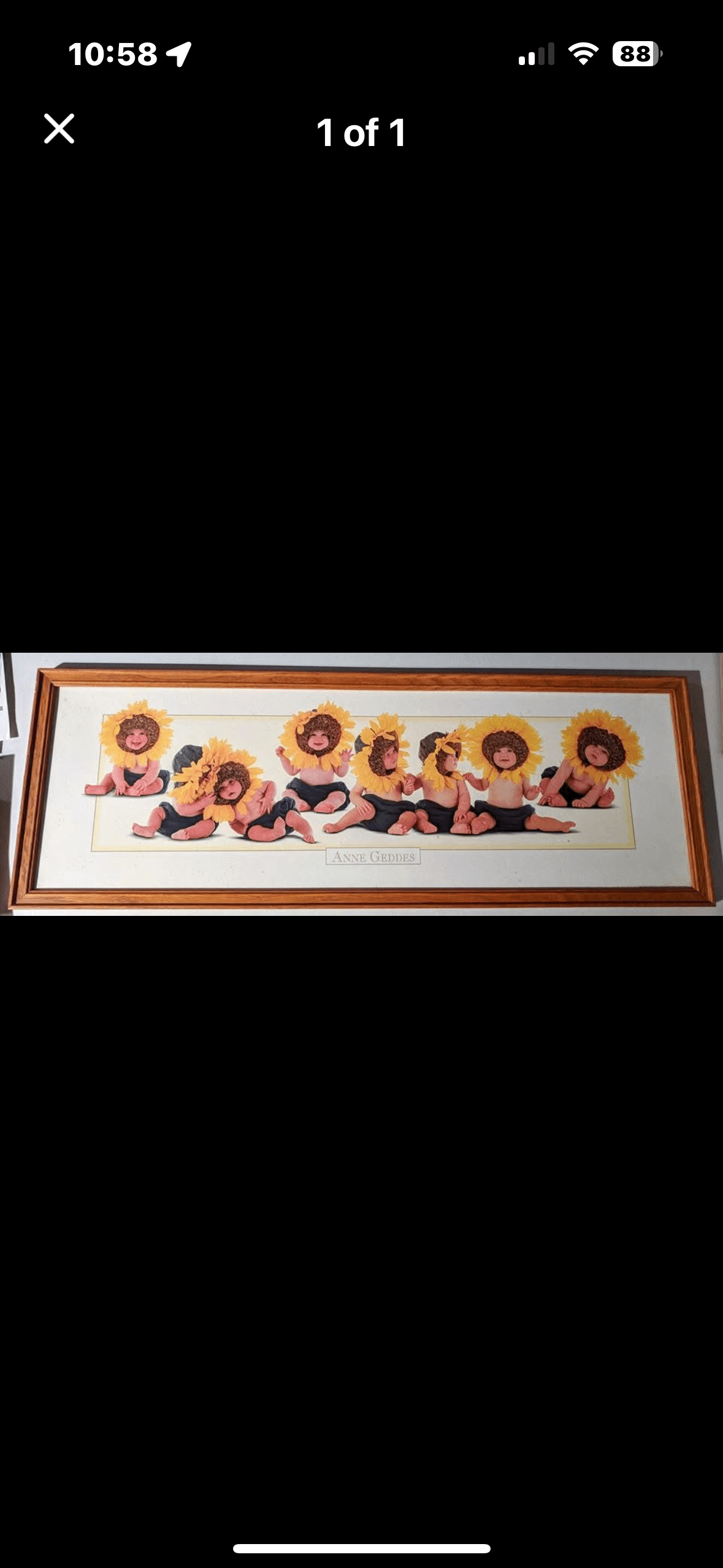 Anne Geddes Framed Sunflower Babies Print - Thumbnail 2
