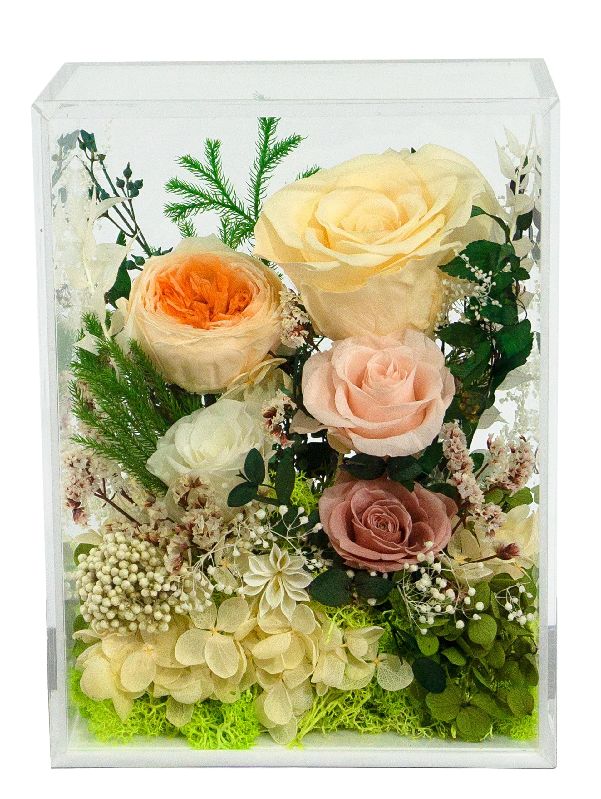 Valley of Rain & Forest Preserved Rose Bush - Yellow Champagne Rose