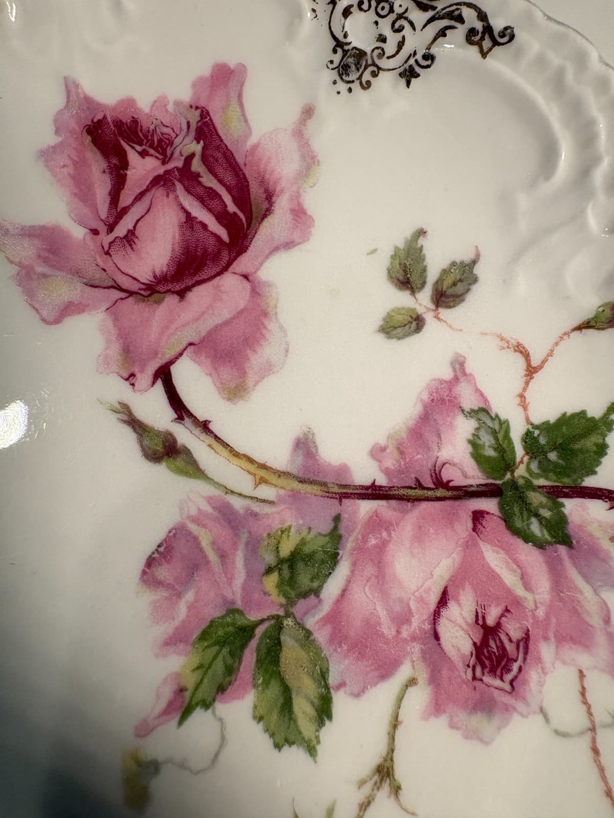 Bavaria German Porcelain Scalloped Plate Pink Roses Gold Trim Gilt - Thumbnail 3
