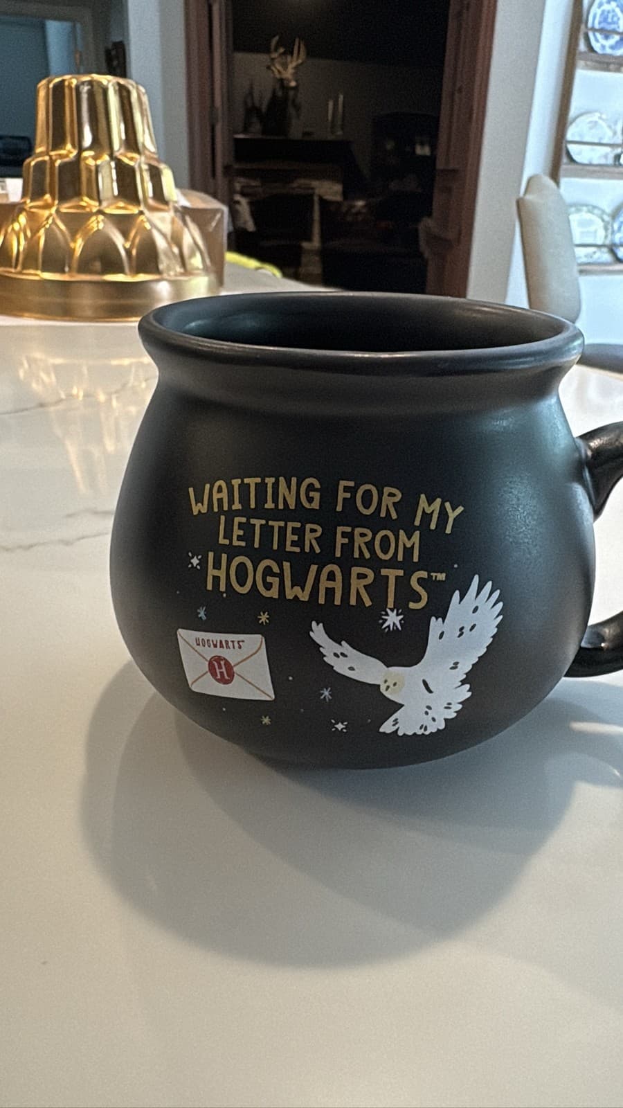 Harry Potter Waiting For My Letter From Hogwarts Cauldron Mug Hedwig