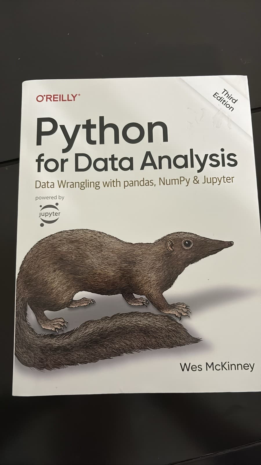 Python for Data Analysis: Data Wrangling with pandas, NumPy, 3rd Ed