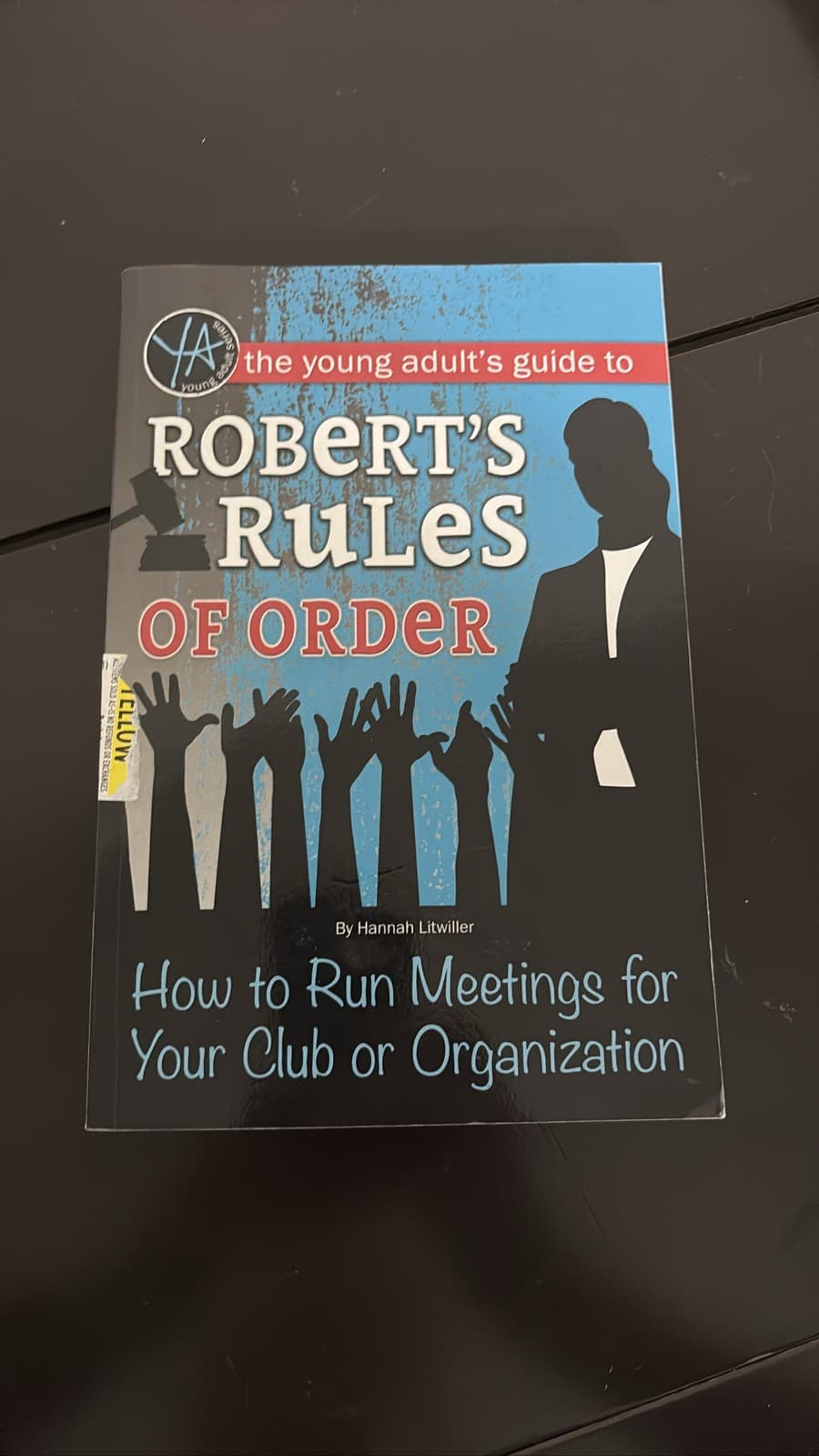 The Young Adult's Guide to Robert's Rules of Order by Hannah Litwiller