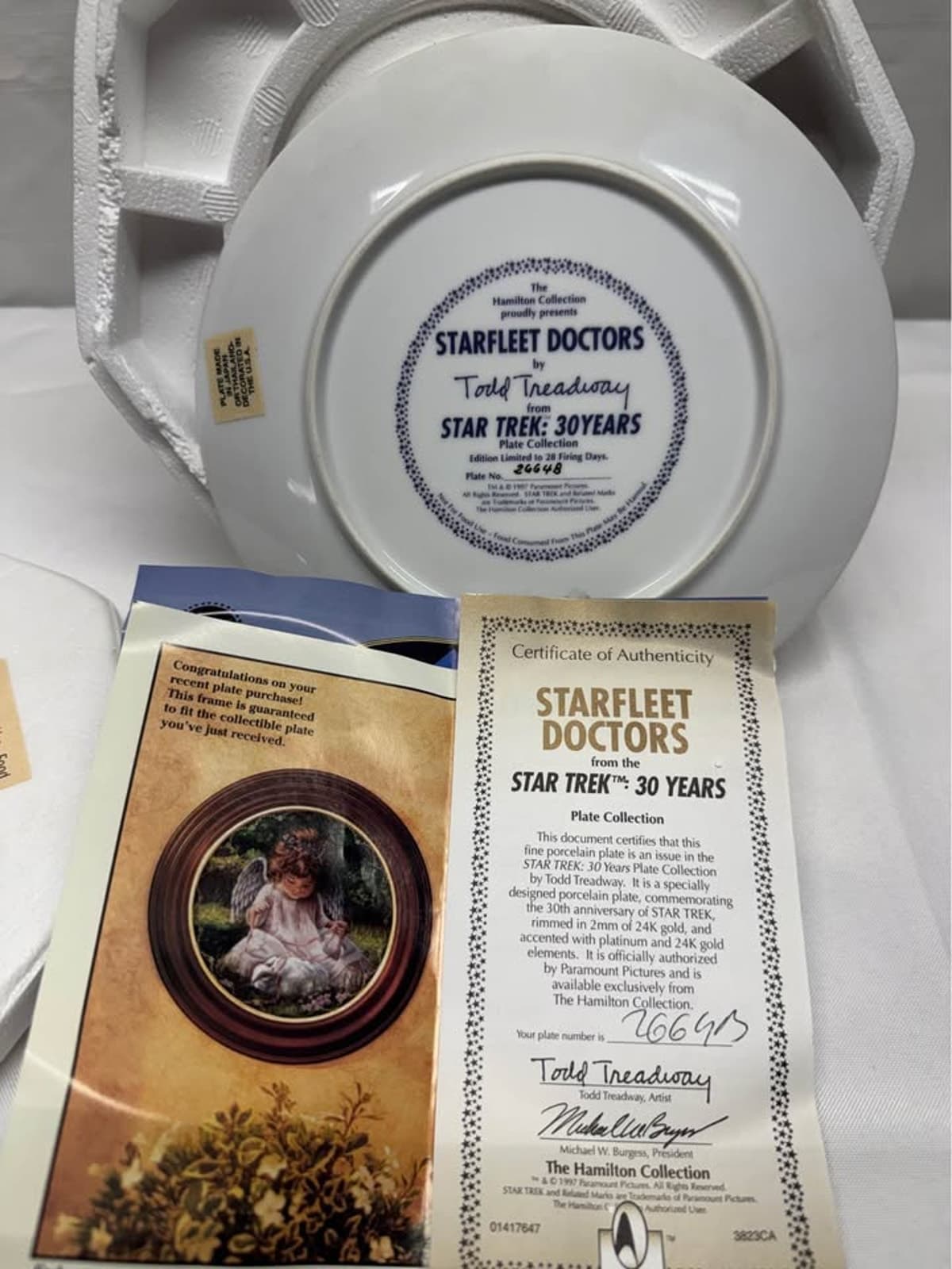 Star Trek 30th Anniversary Collectible Plate – Limited Edition Display Plate - Thumbnail 2