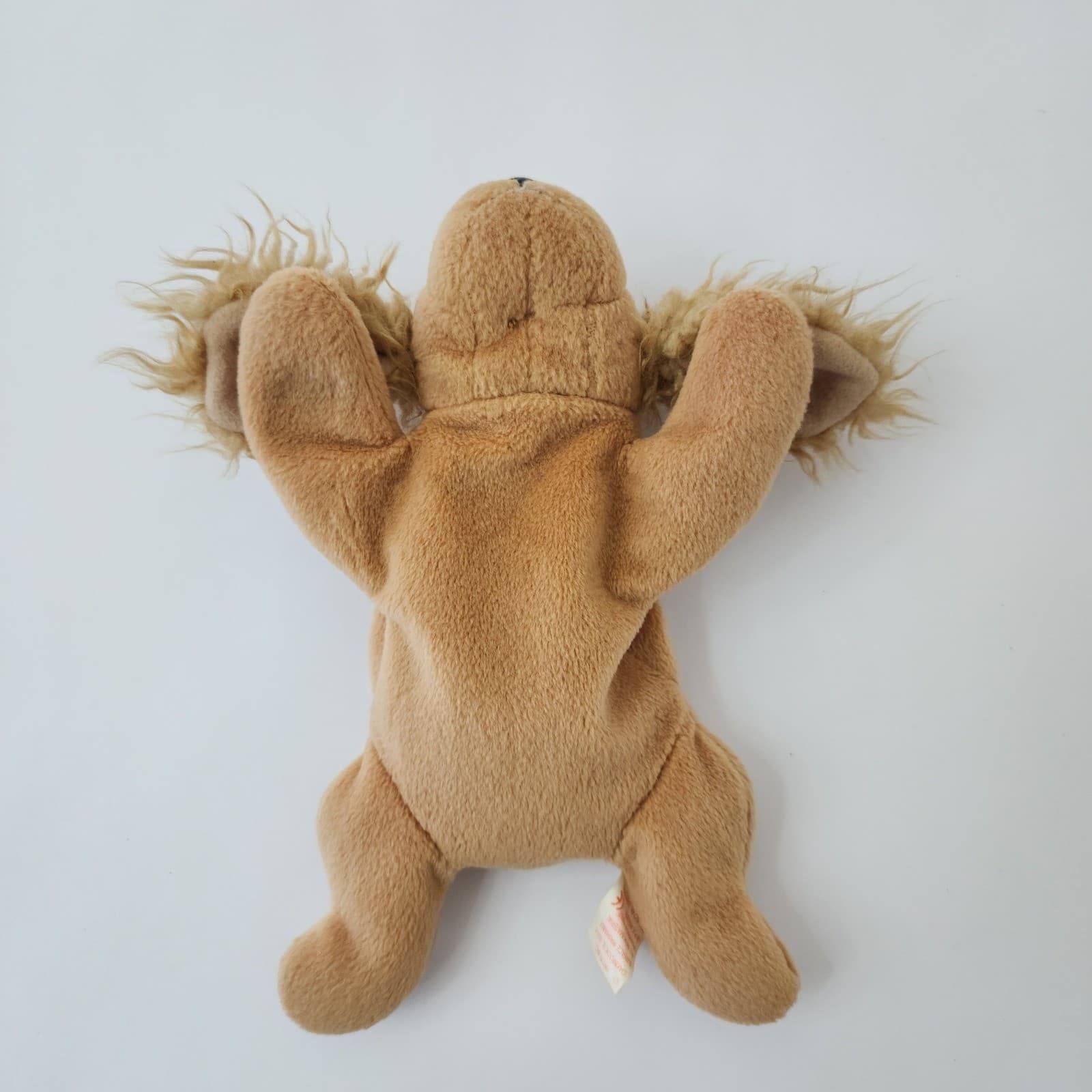 Ty Beanie Babies Spunky Cocker Spaniel Dog Plush Tan Brown 1997 Vintage Toy A65 - Thumbnail 3