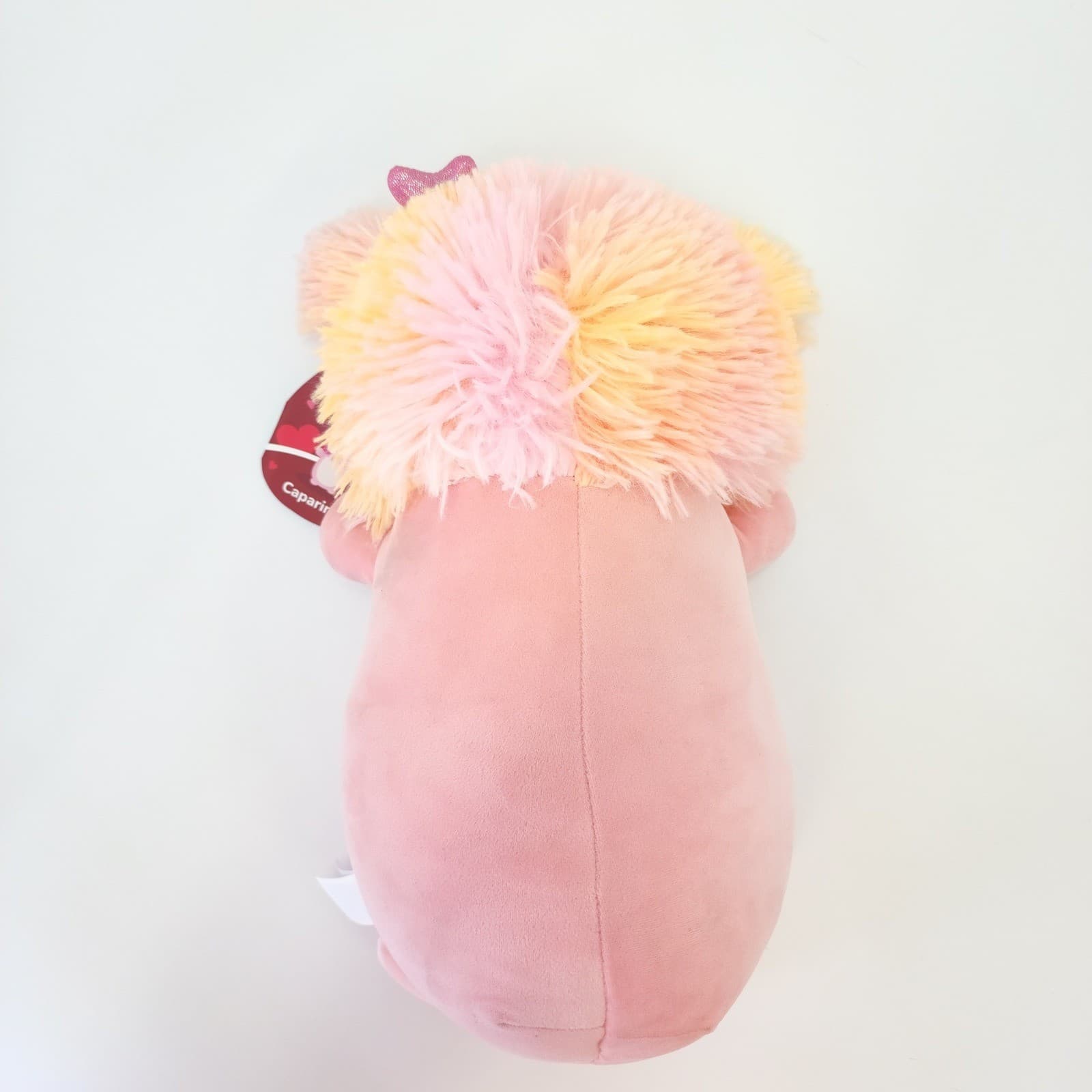 Squishmallows Hug Mees Caparinne Pink Bigfoot Valentine Plush 10 Inch NWT - Thumbnail 5