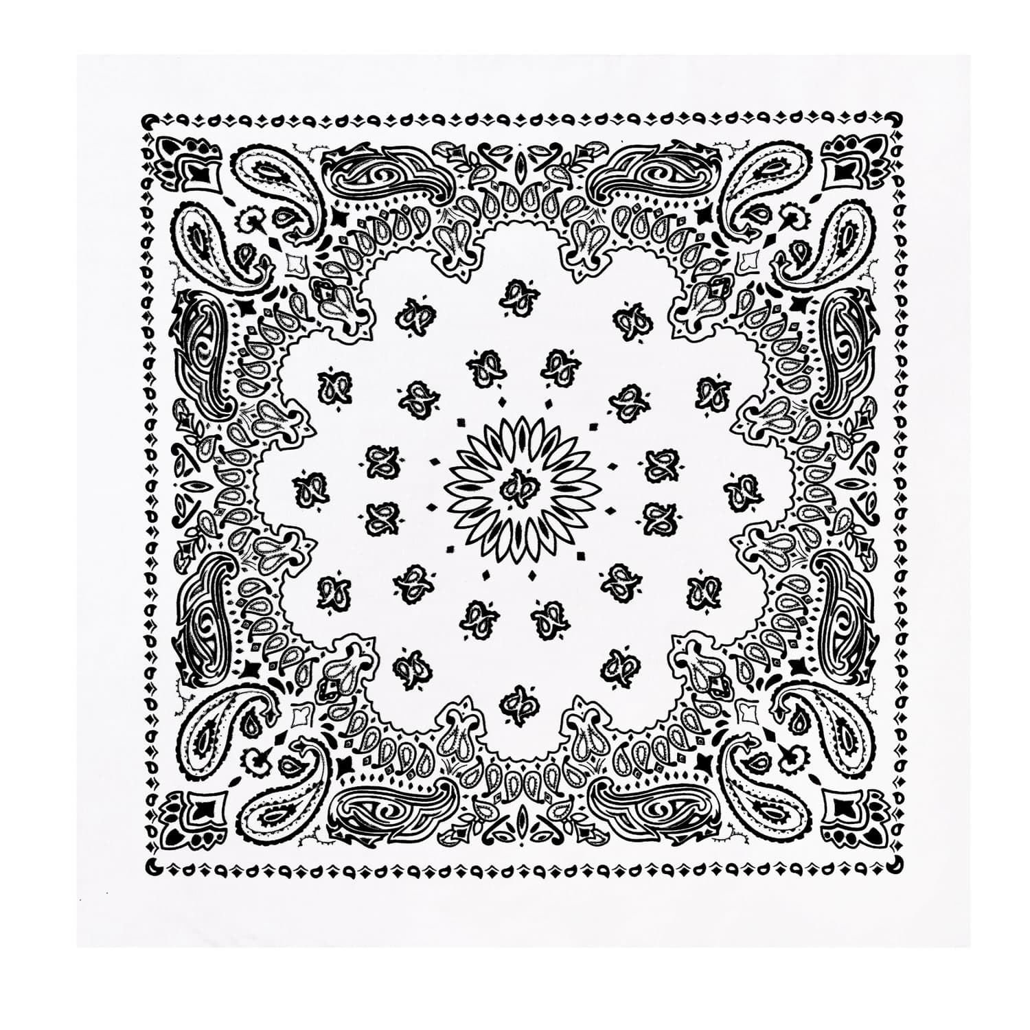 Classic Paisley Bandana - Thumbnail 8