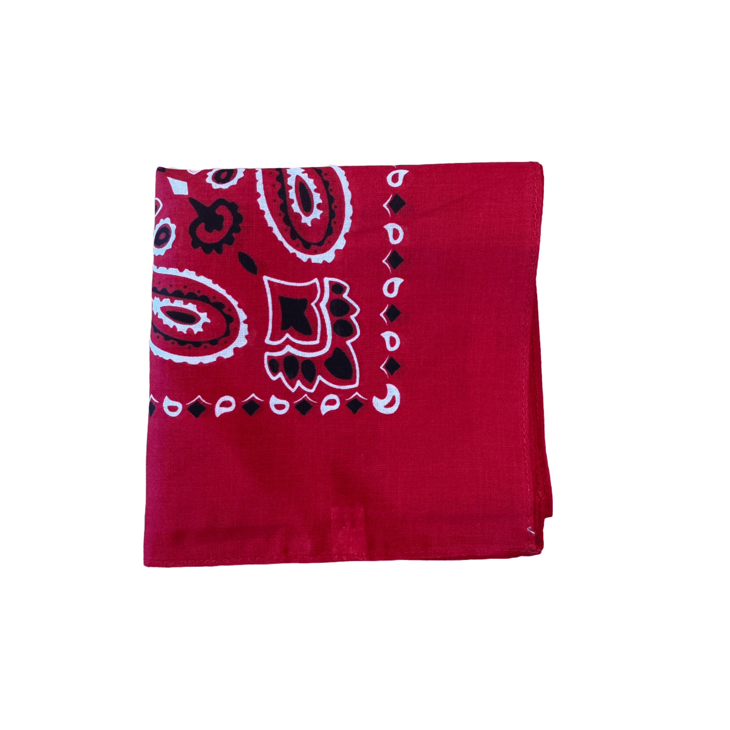 Classic Paisley Bandana - Thumbnail 12