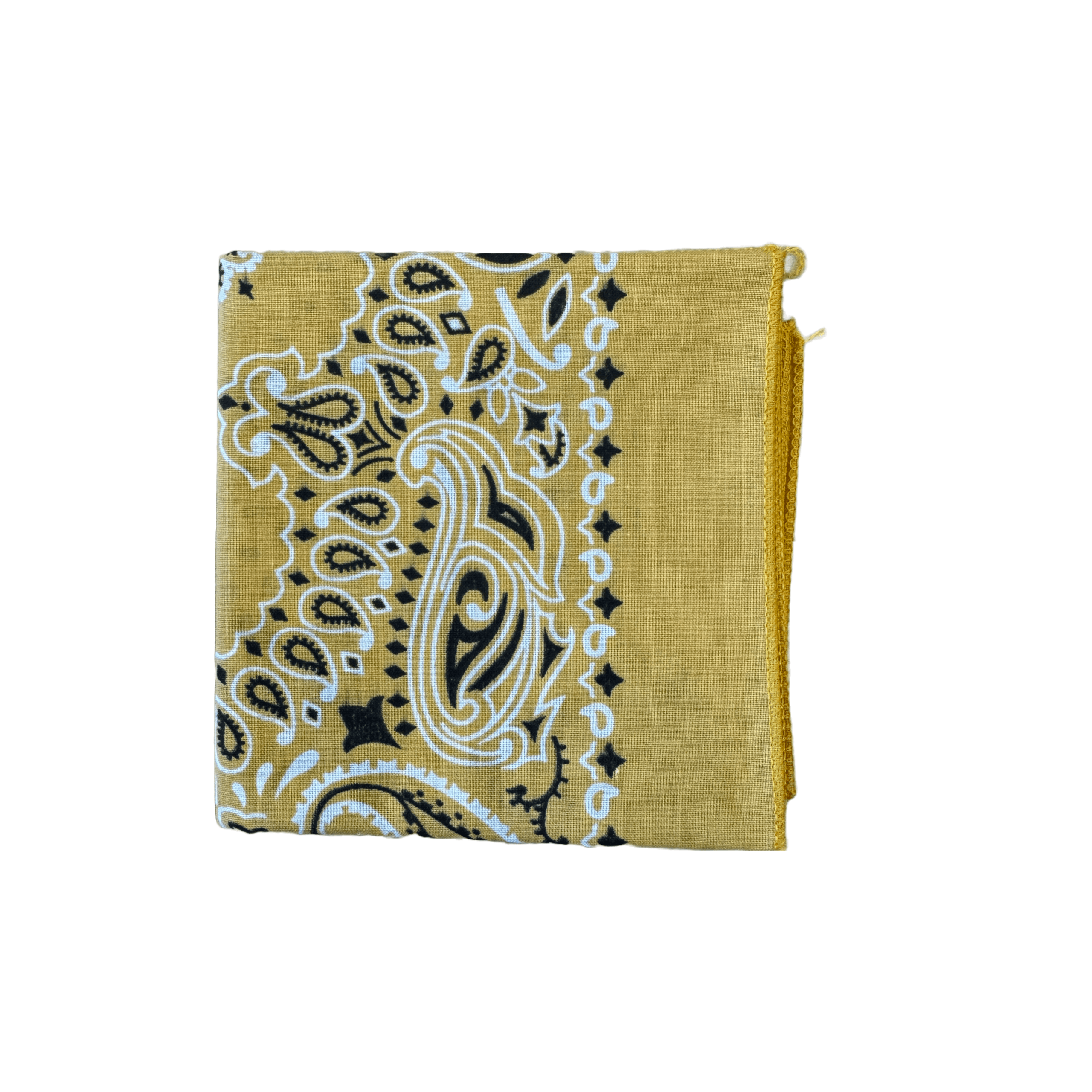 Classic Paisley Bandana - Thumbnail 10