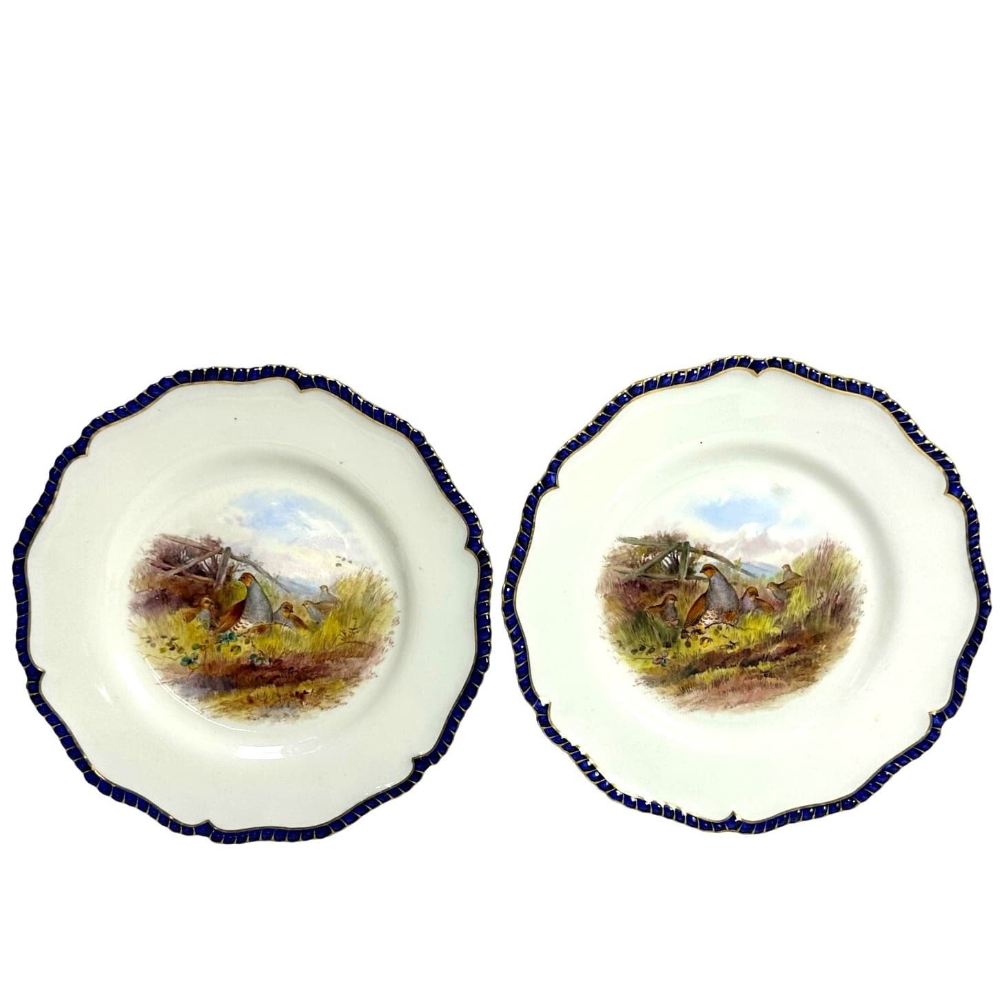Antique Royal Worcester 1898 George Johnson Hand Painted Game Bird China-17 Pcs - Thumbnail 9