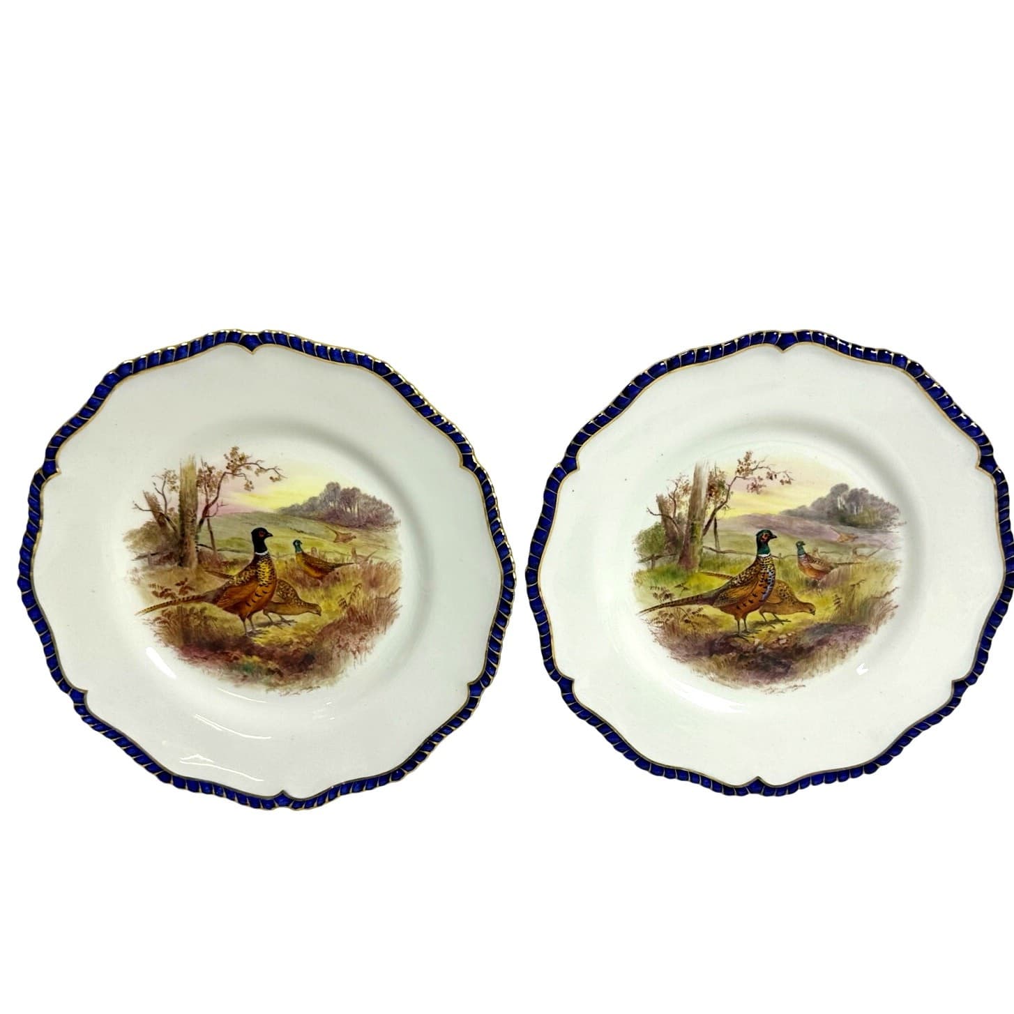 Antique Royal Worcester 1898 George Johnson Hand Painted Game Bird China-17 Pcs - Thumbnail 11