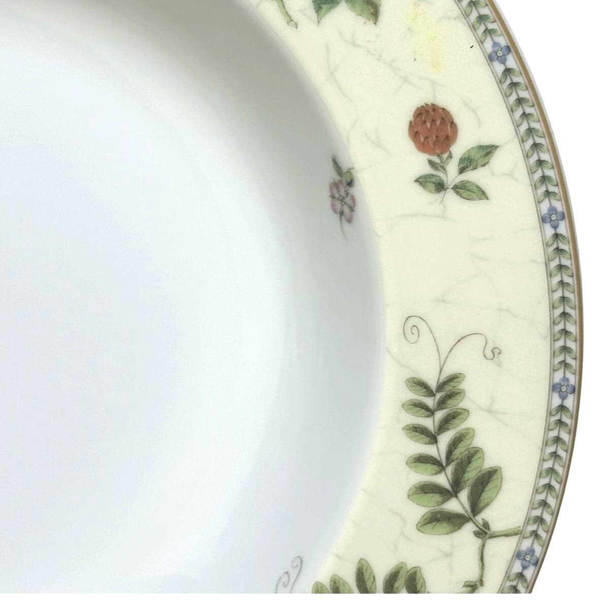 Wedgwood Vintage 1997 "Fleur" 9" Large Rim Soup/Pasta Bowls-Excellent-Set of 6 - Thumbnail 6