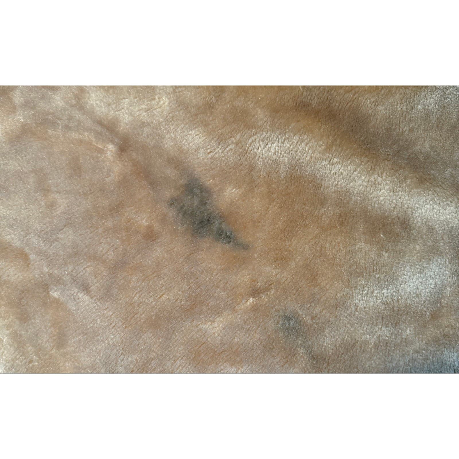 Vintage Korean Mink Blanket Neutral Floral Plush Soft Heavy Beige Brown Throw - Thumbnail 12