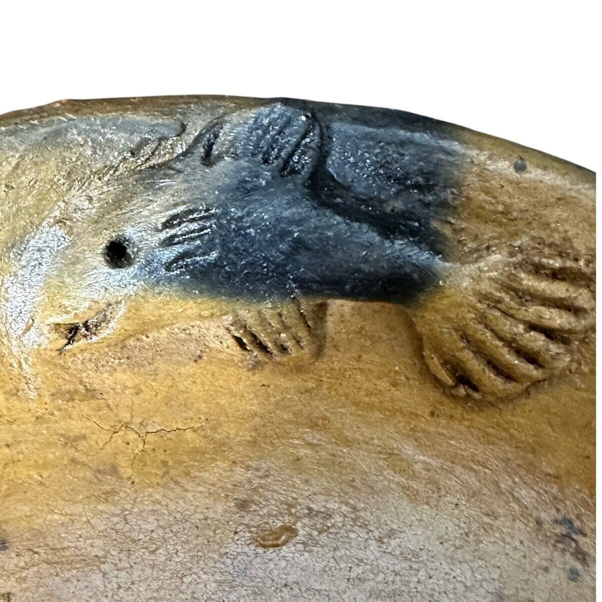 Handmade Art Pottery Bowl Raised Relief Fish Shrimp Belize 2007 Artist Signed 8" - Thumbnail 11
