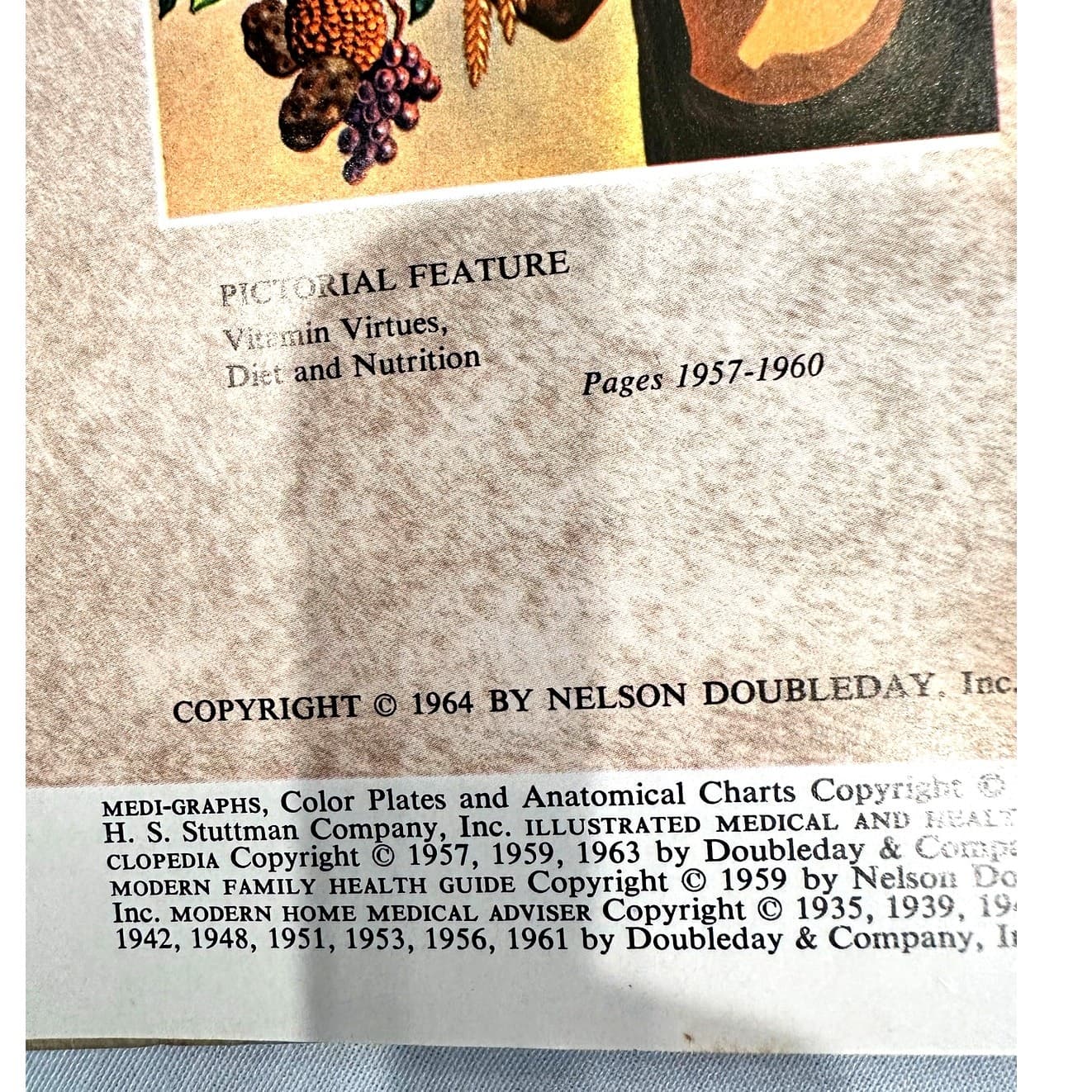 The New Illustrated Medical & Health Encyclopedia 1964 Complete Set Volumes 1-14 - Thumbnail 9