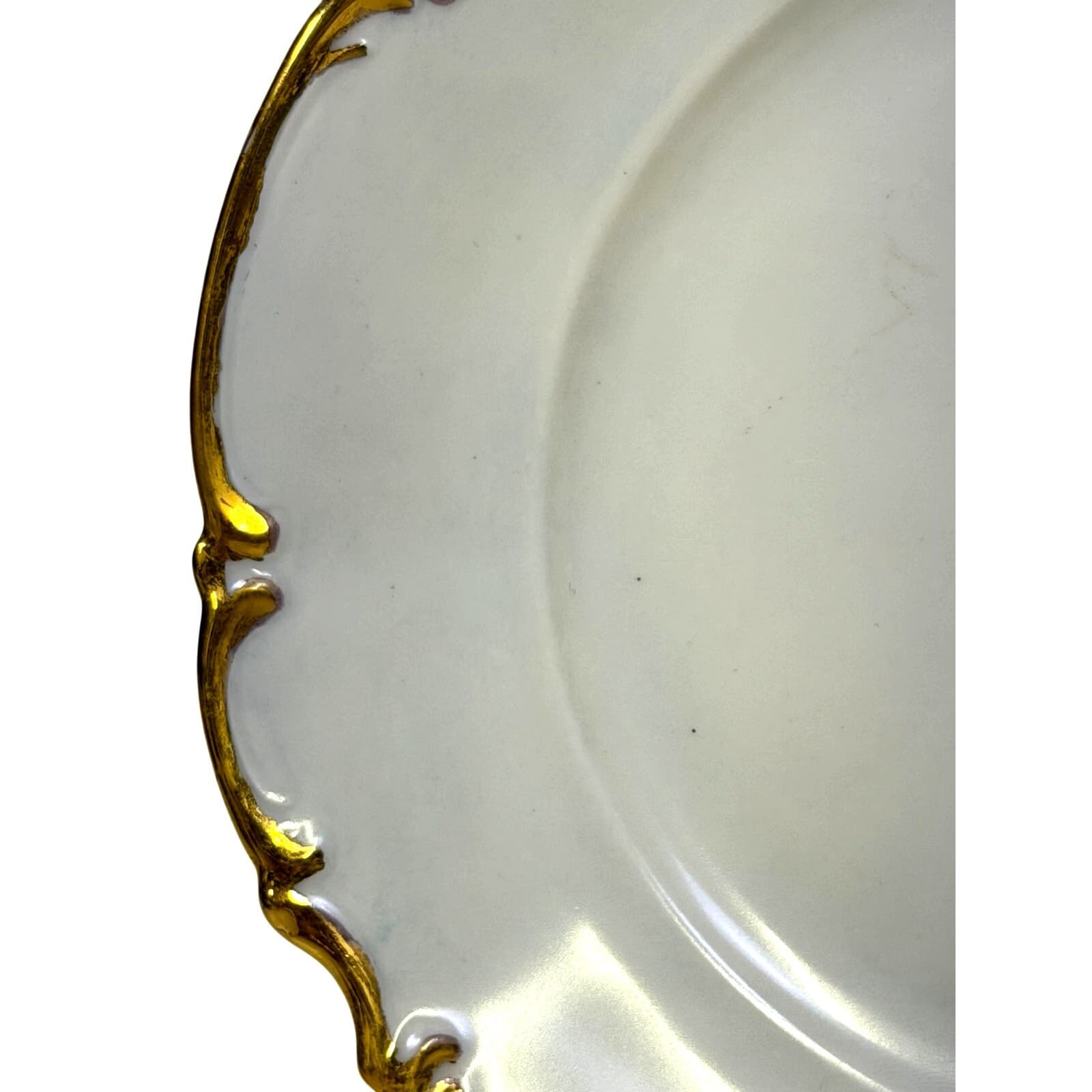 Hutschenreuther Bavaria Germany Porcelain Floral Hand Painted Plate Gold Accents - Thumbnail 8