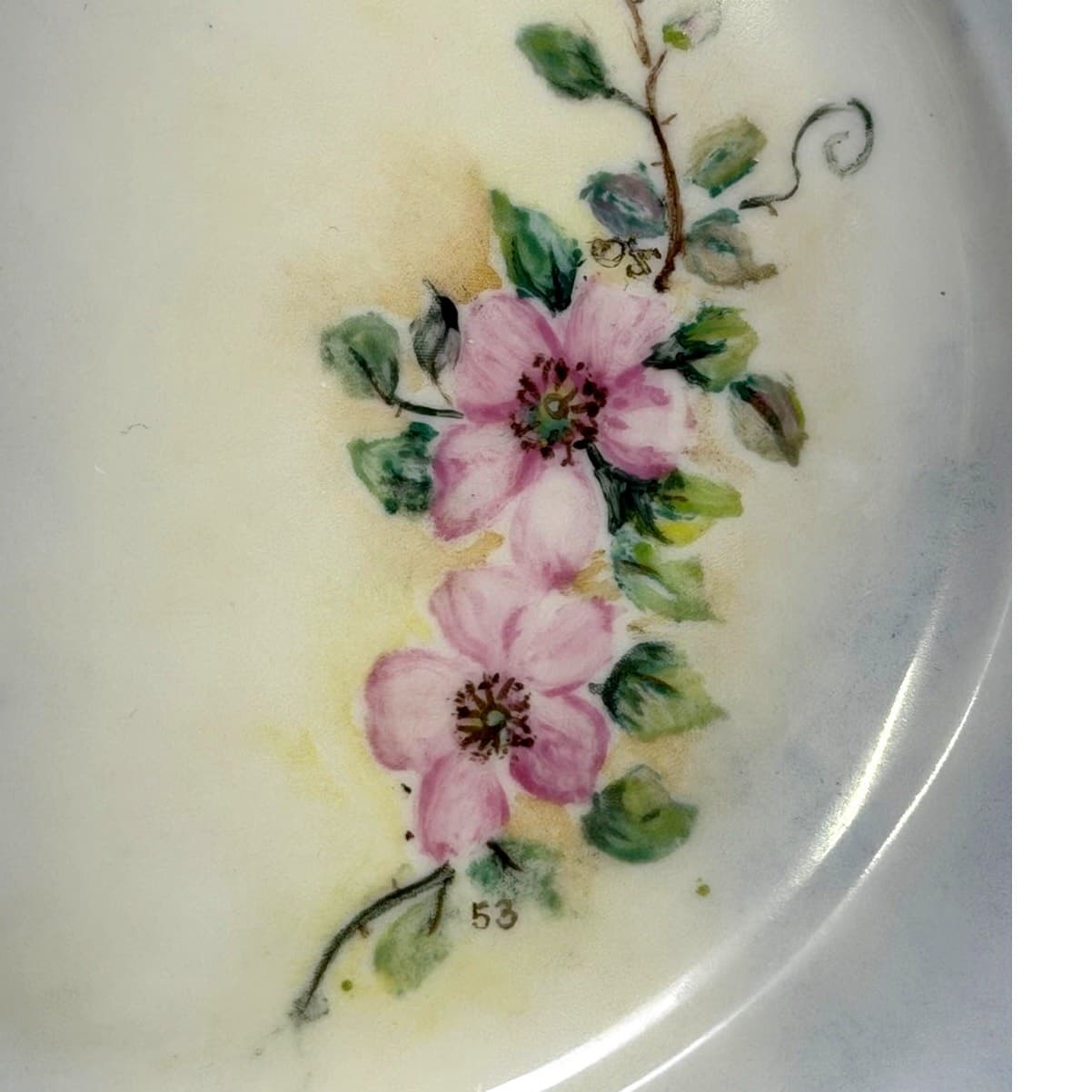 Hutschenreuther Bavaria Germany Porcelain Floral Hand Painted Plate Gold Accents - Thumbnail 4