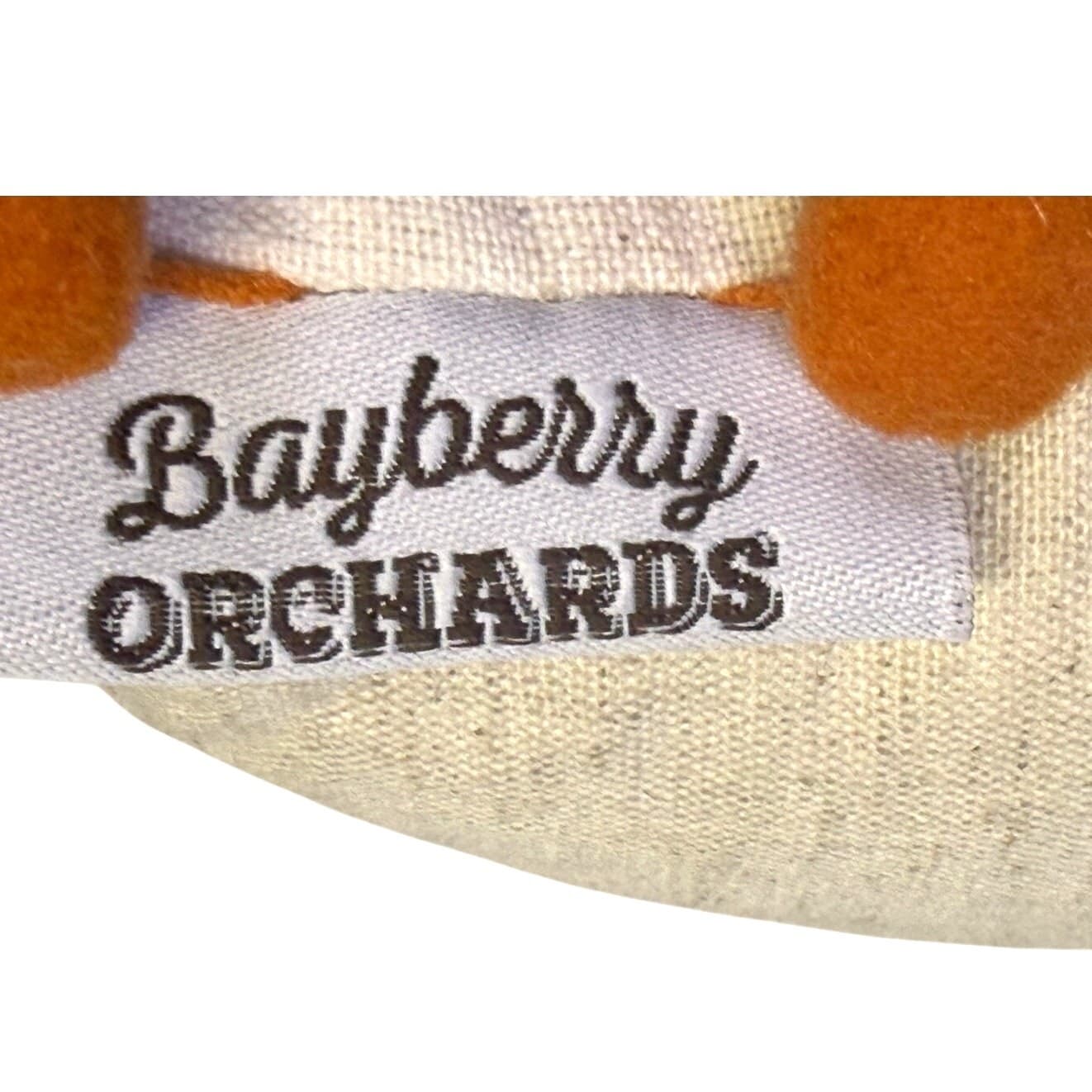 'Pumpkin and Spice and Everything Nice' Cozy Autumn 13 x 9 Beaded Accent Pillow - Thumbnail 3