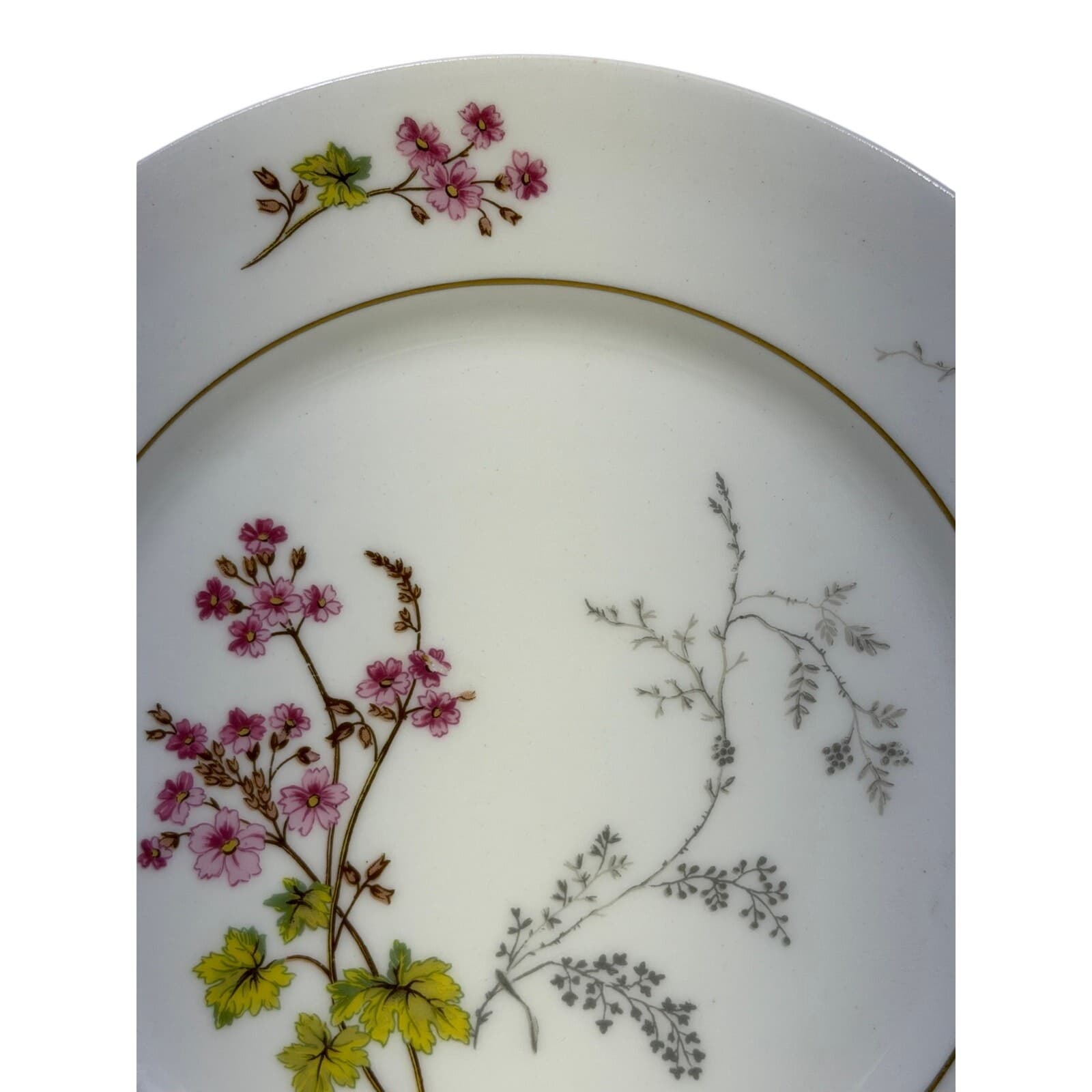 Charles Field Haviland Limoges 'Spring Blossom' 10" Dinner Plate-Excellent - Thumbnail 4