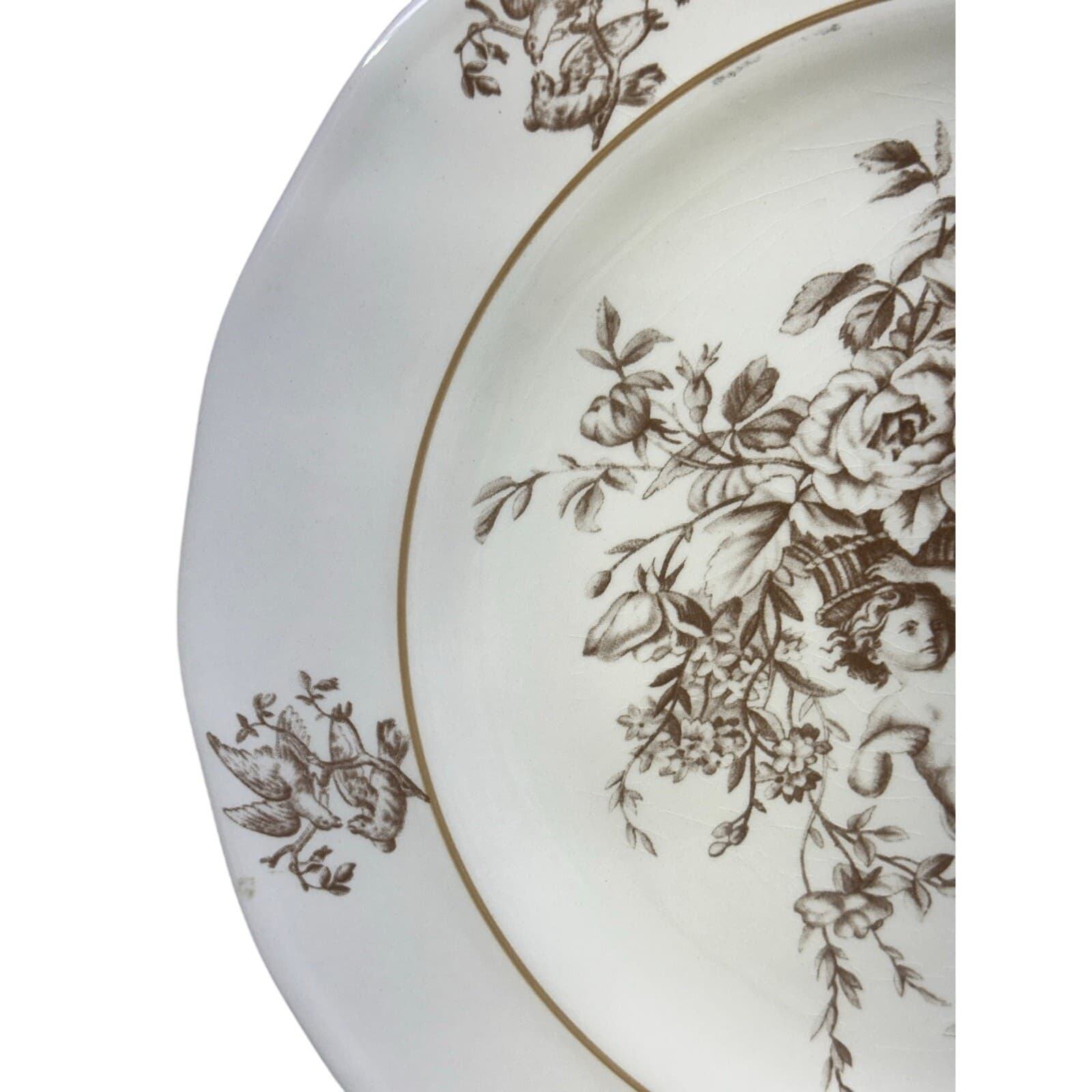 Claire Wilson 'Heaven' Brown/Ivory Cherub Doves Flowers 10.5" Dinner Plates-2 - Thumbnail 4