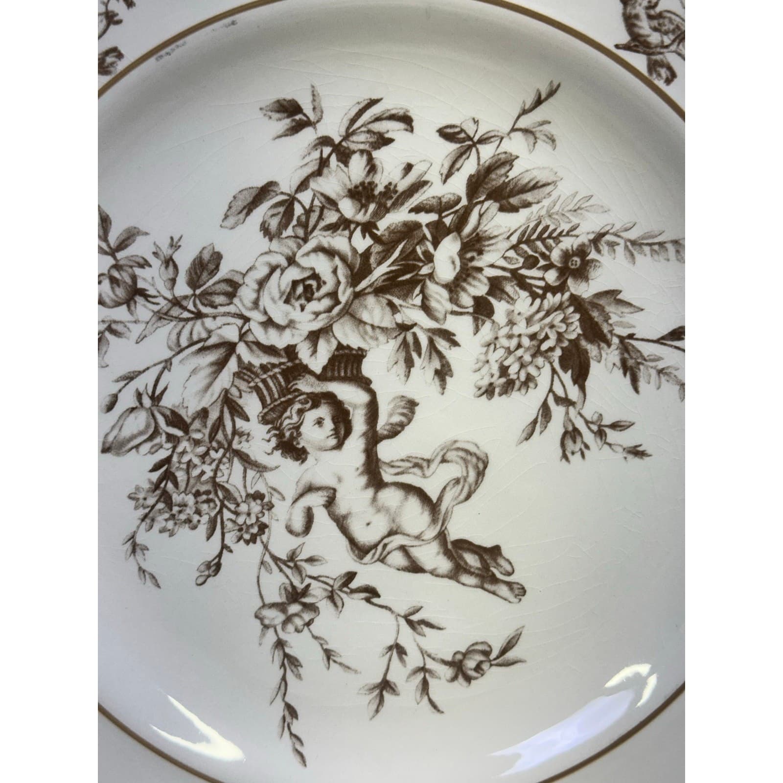 Claire Wilson 'Heaven' Brown/Ivory Cherub Doves Flowers 10.5" Dinner Plates-2 - Thumbnail 3