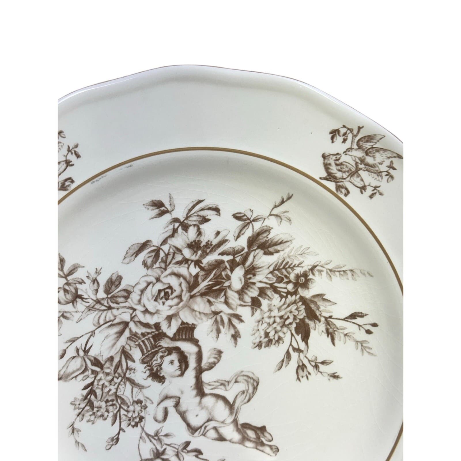 Claire Wilson 'Heaven' Brown/Ivory Cherub Doves Flowers 10.5" Dinner Plates-2 - Thumbnail 5