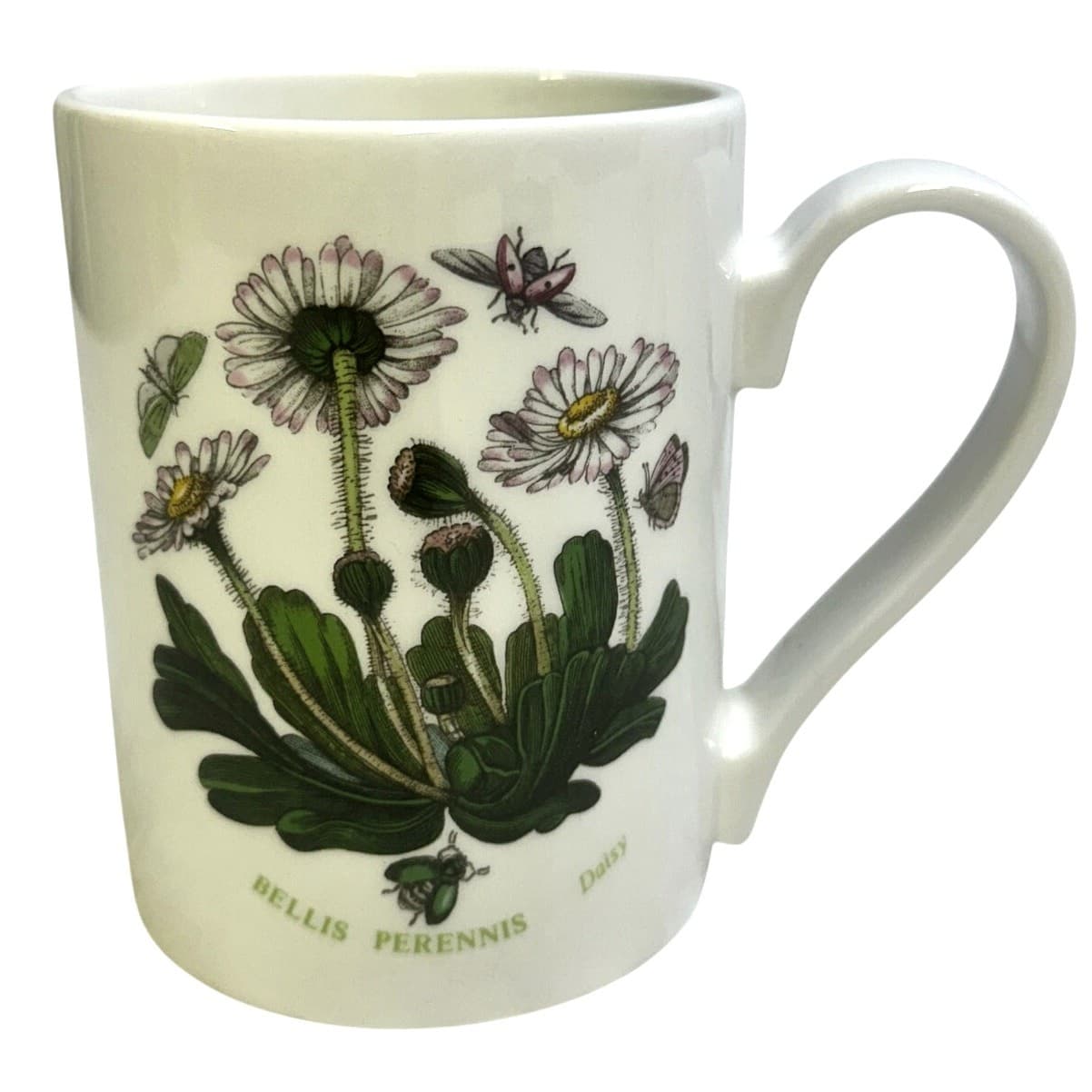 Portmeirion Vintage Botanic Garden England 'Daisy' Back Strap Handle Mug Set 8 - Thumbnail 2