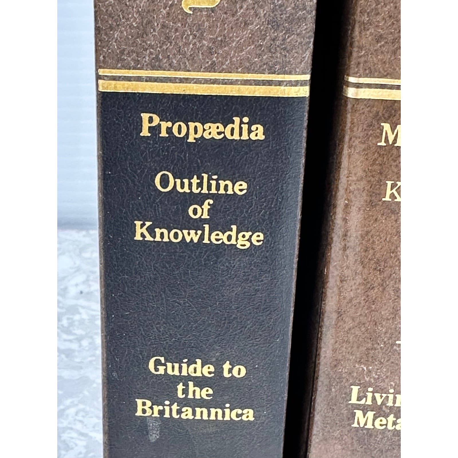 Encyclopedia Britannica 1982 15th Edition 9 Volumes #11-18+Outline of Knowledge - Thumbnail 2