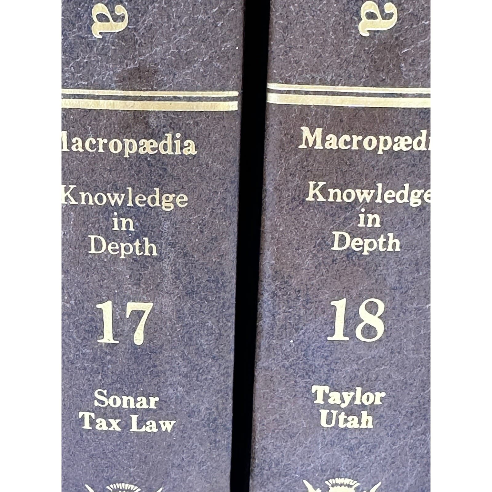 Encyclopedia Britannica 1982 15th Edition 9 Volumes #11-18+Outline of Knowledge - Thumbnail 6