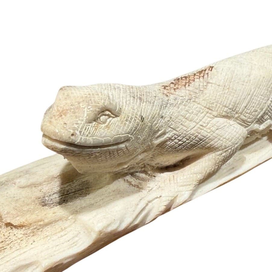 Pair Signed Hand Carved Bone Monitor Lizard Sculptures Walnut Bases Wildlife Art - Thumbnail 9