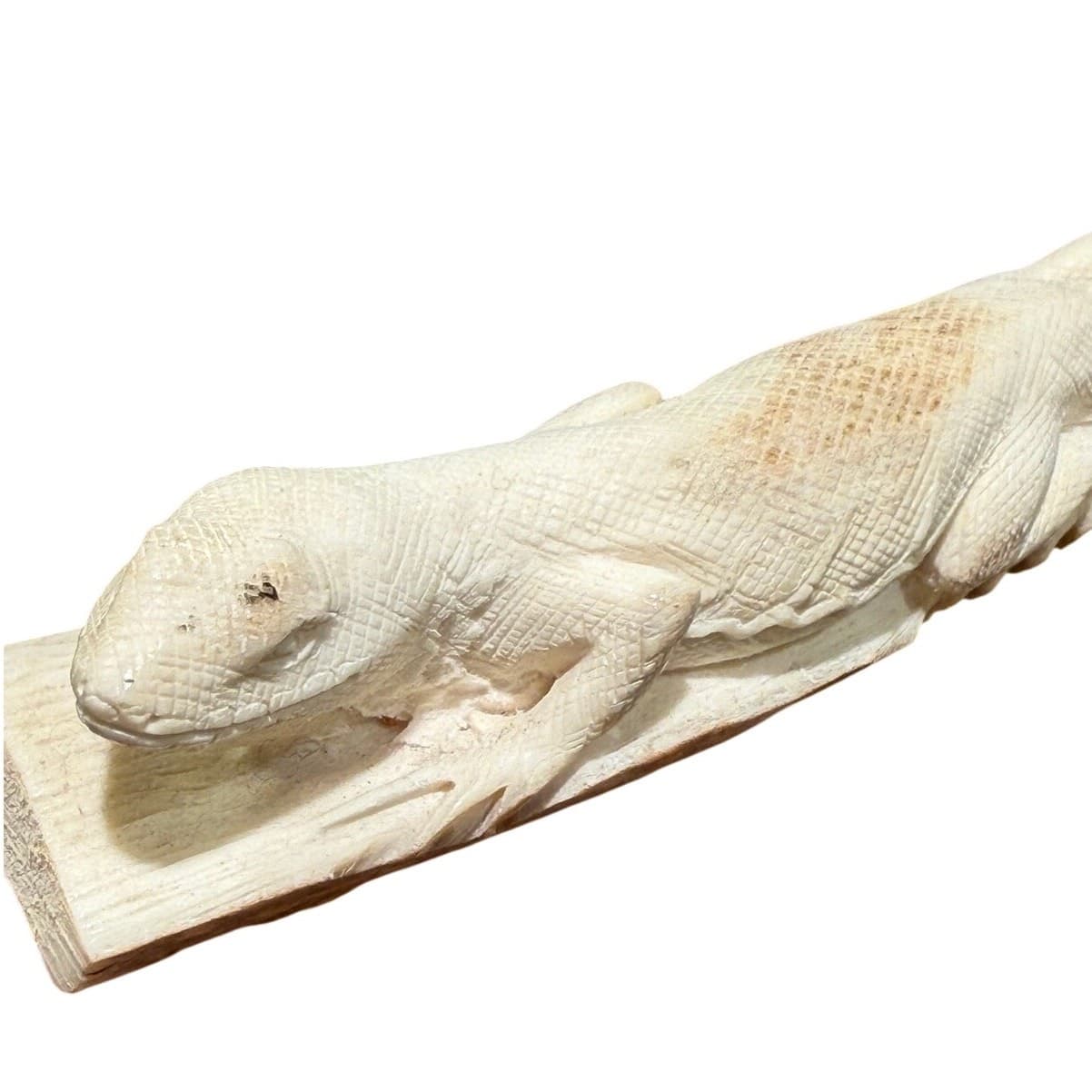 Pair Signed Hand Carved Bone Monitor Lizard Sculptures Walnut Bases Wildlife Art - Thumbnail 6