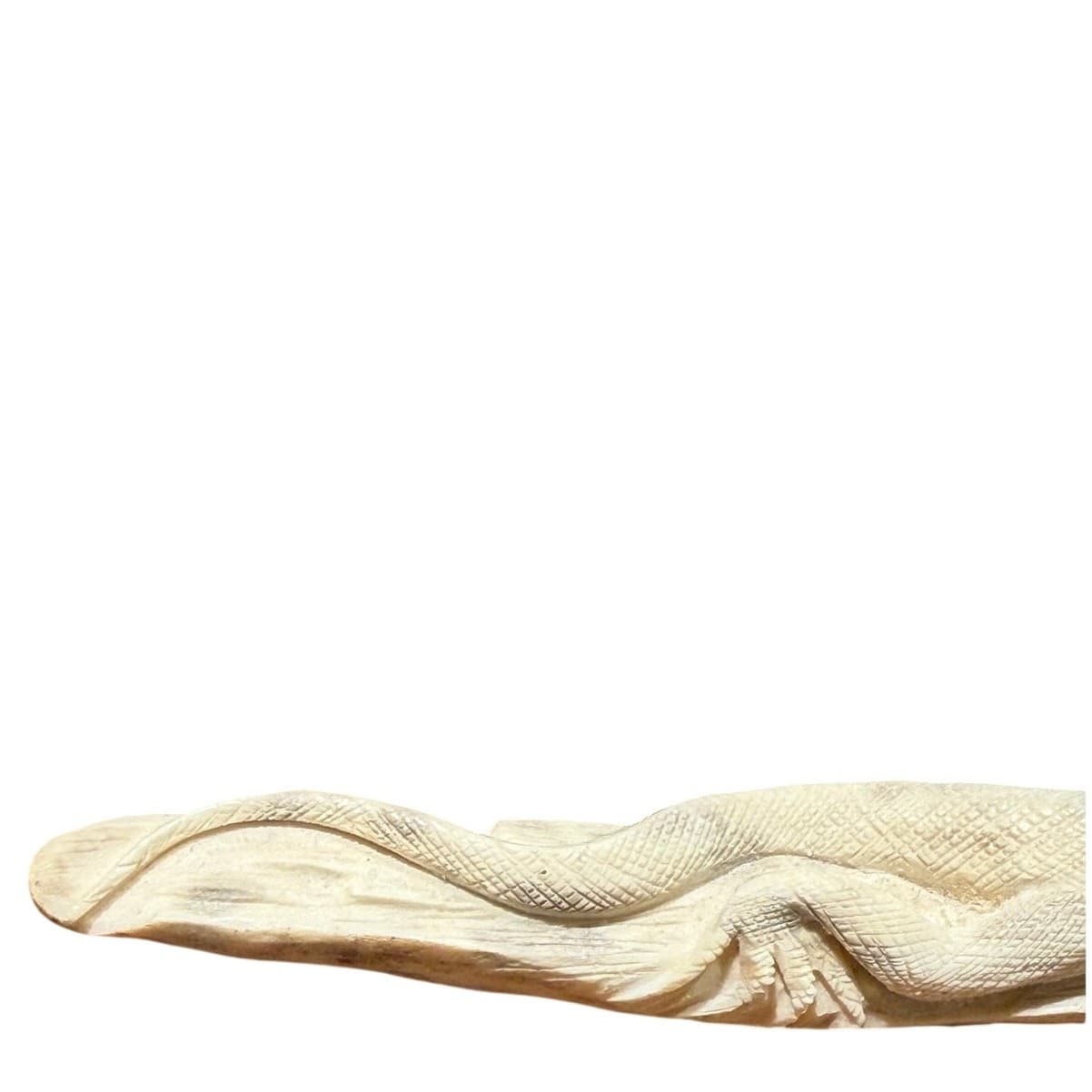 Pair Signed Hand Carved Bone Monitor Lizard Sculptures Walnut Bases Wildlife Art - Thumbnail 13