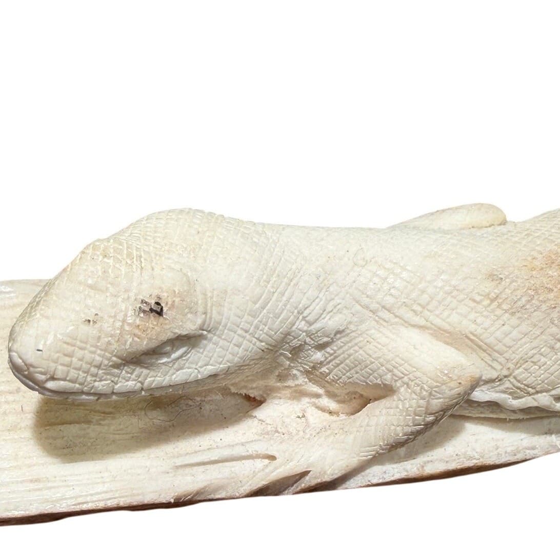 Pair Signed Hand Carved Bone Monitor Lizard Sculptures Walnut Bases Wildlife Art - Thumbnail 10
